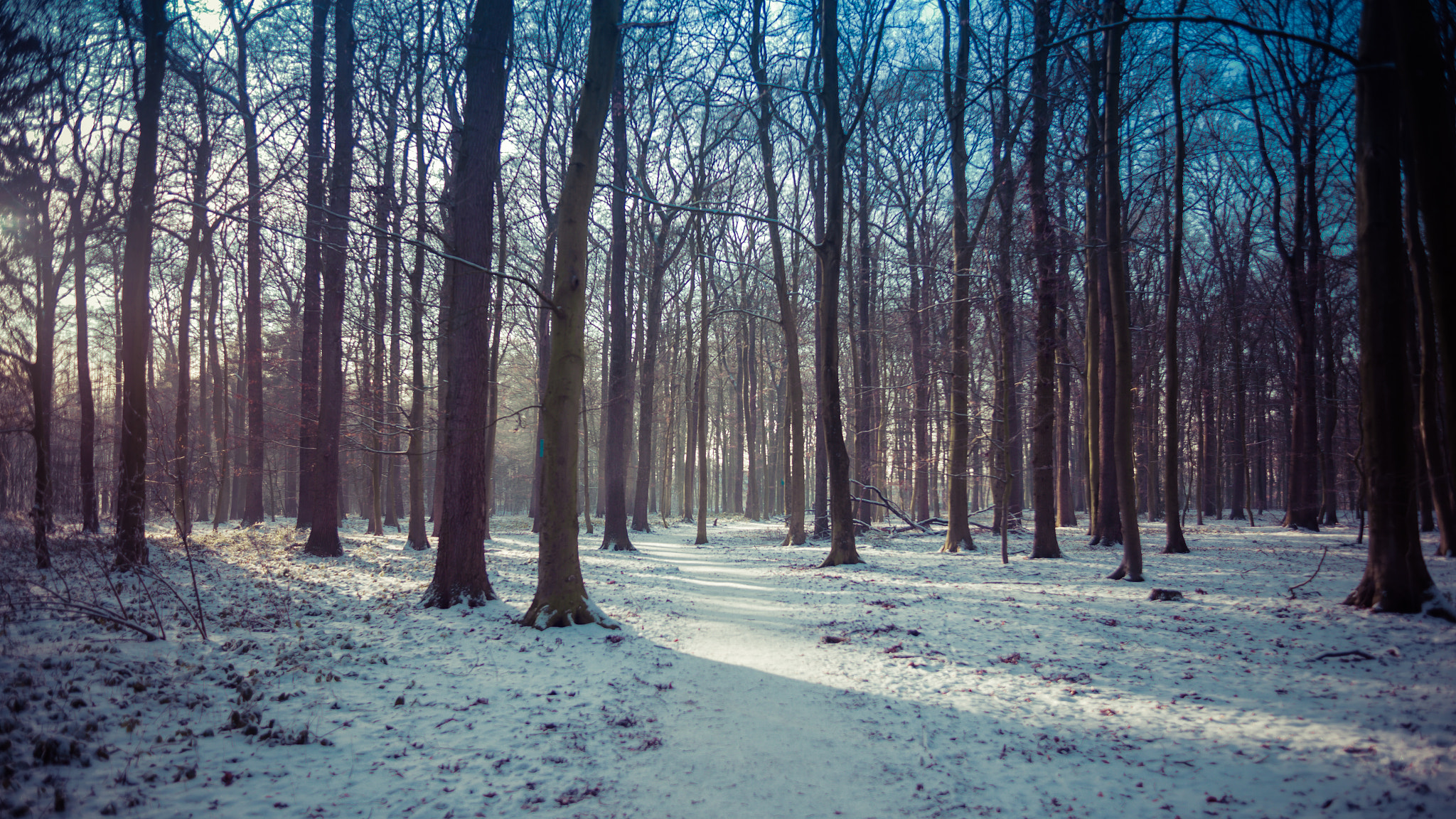 Canon EOS 6D + EF28-70mm f/2.8L USM sample photo. Dreamy horizons photography