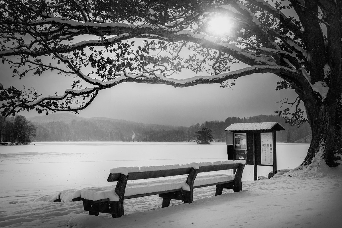 Sigma 18-200mm f/3.5-6.3 DC OS sample photo. Still ruht der see - 2nd version in b/w photography