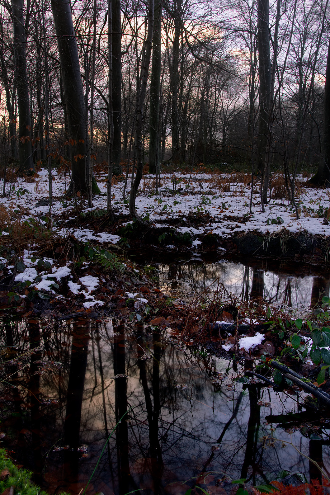 Sigma 18-35mm f/1.8 DC HSM sample photo. Reflections photography