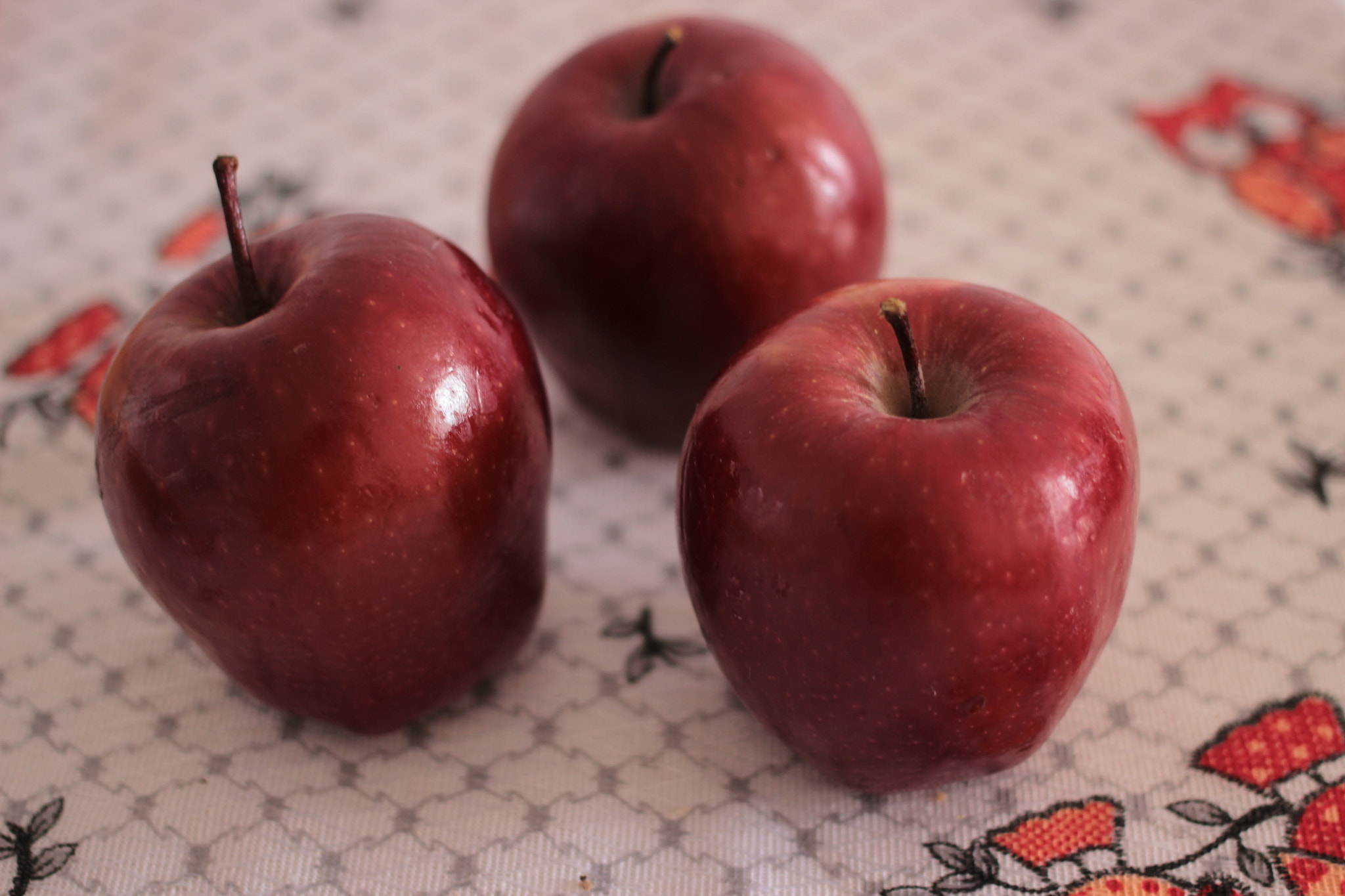 Canon EF 40mm F2.8 STM sample photo. A modern cézane photography
