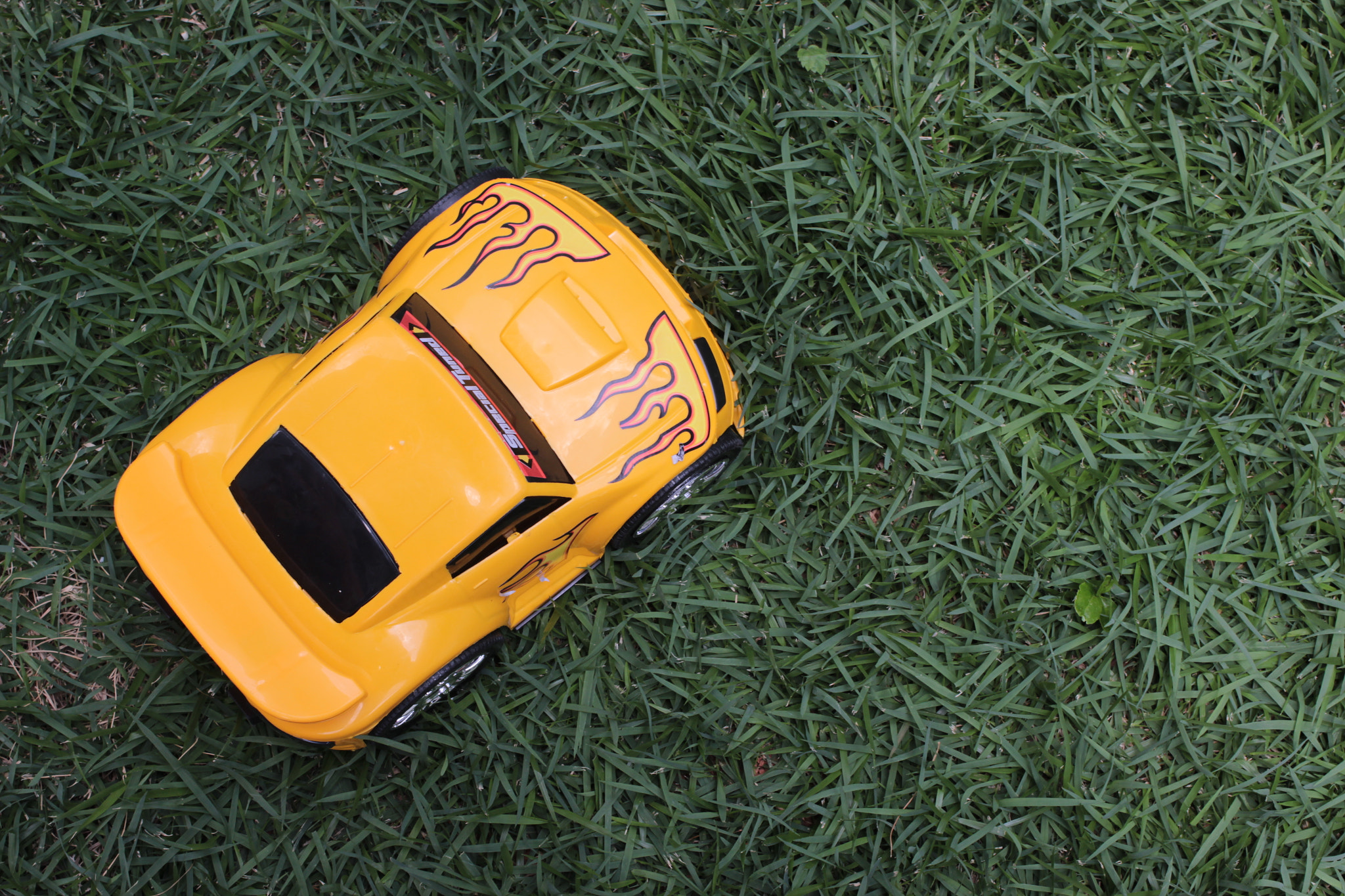 Canon EF 40mm F2.8 STM sample photo. Yellow and green photography