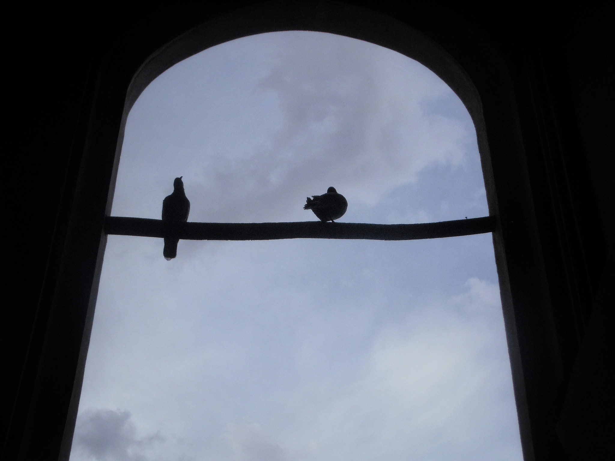 Olympus VR330,D730 sample photo. Fly photography