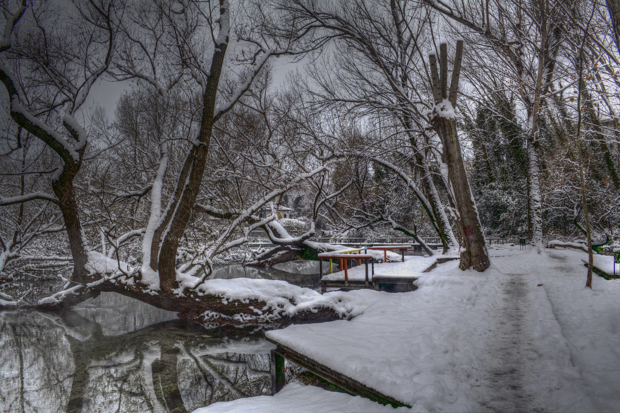 Canon EF-S 18-55mm F3.5-5.6 II sample photo. St. barbara park photography