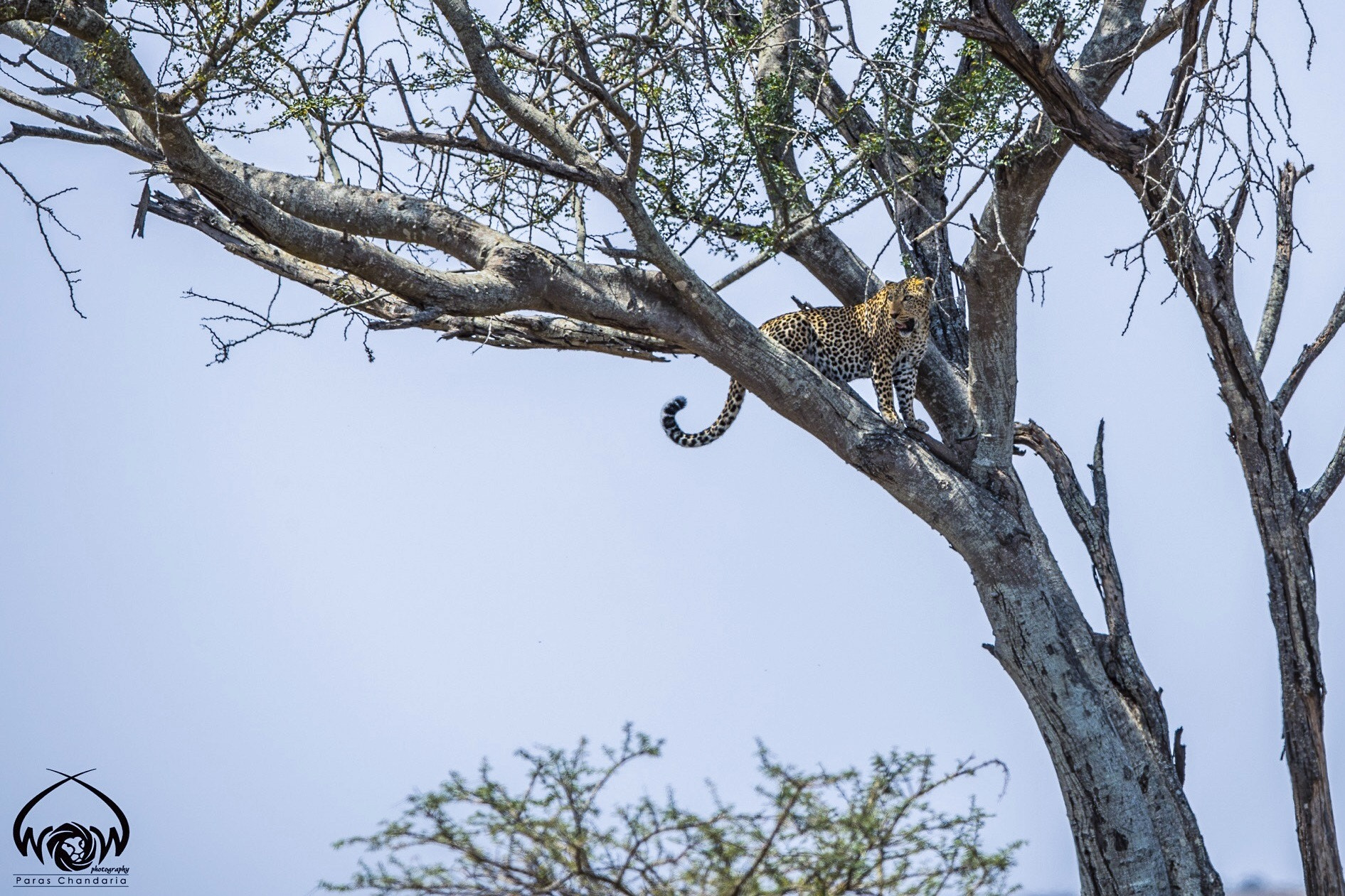 Canon EF 400mm F2.8L IS II USM sample photo. What an amazing last few days it has been the nair ... photography