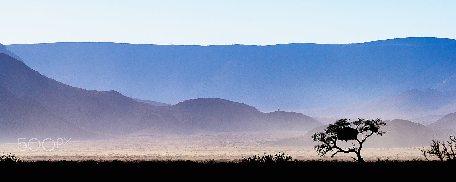 Sigma 70-200mm F2.8 EX DG HSM APO Macro sample photo. Tree of namibia iv photography