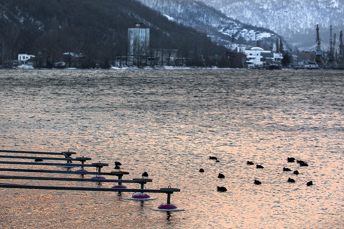 Canon EF-S 55-250mm F4-5.6 IS STM sample photo. Orsova photography
