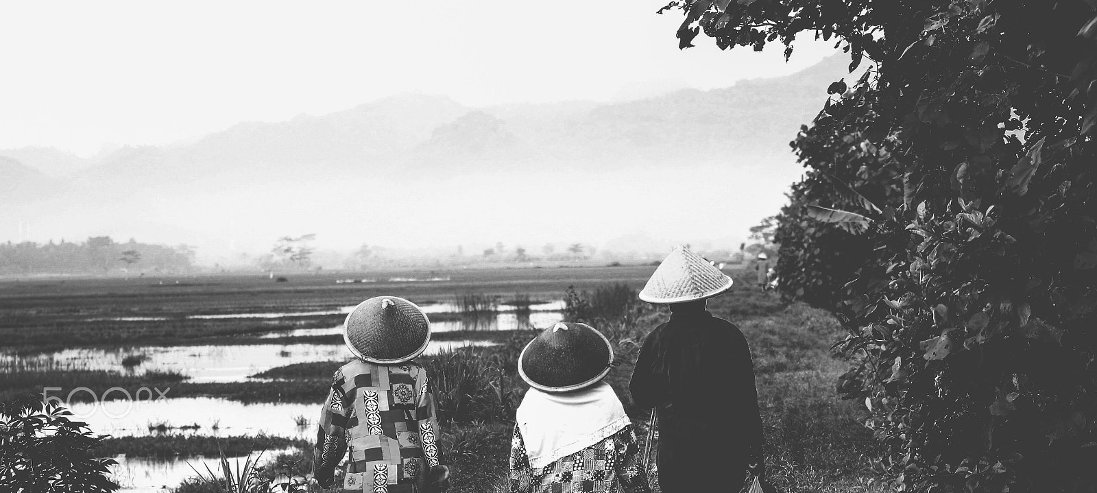 Canon EOS 60D sample photo. Morning activities photography