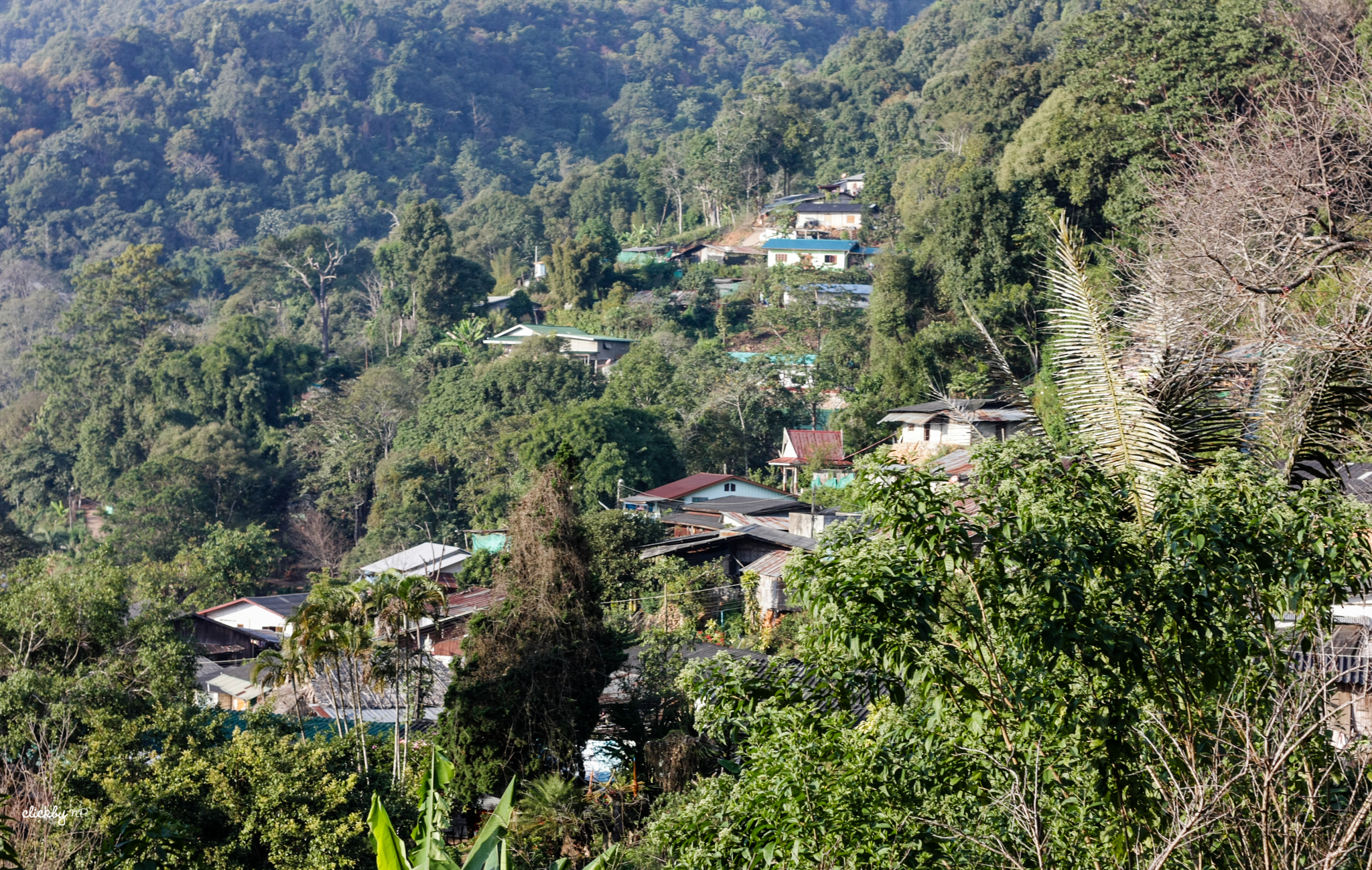 Canon EOS 450D (EOS Rebel XSi / EOS Kiss X2) sample photo. Doi pui northern mountain village photography