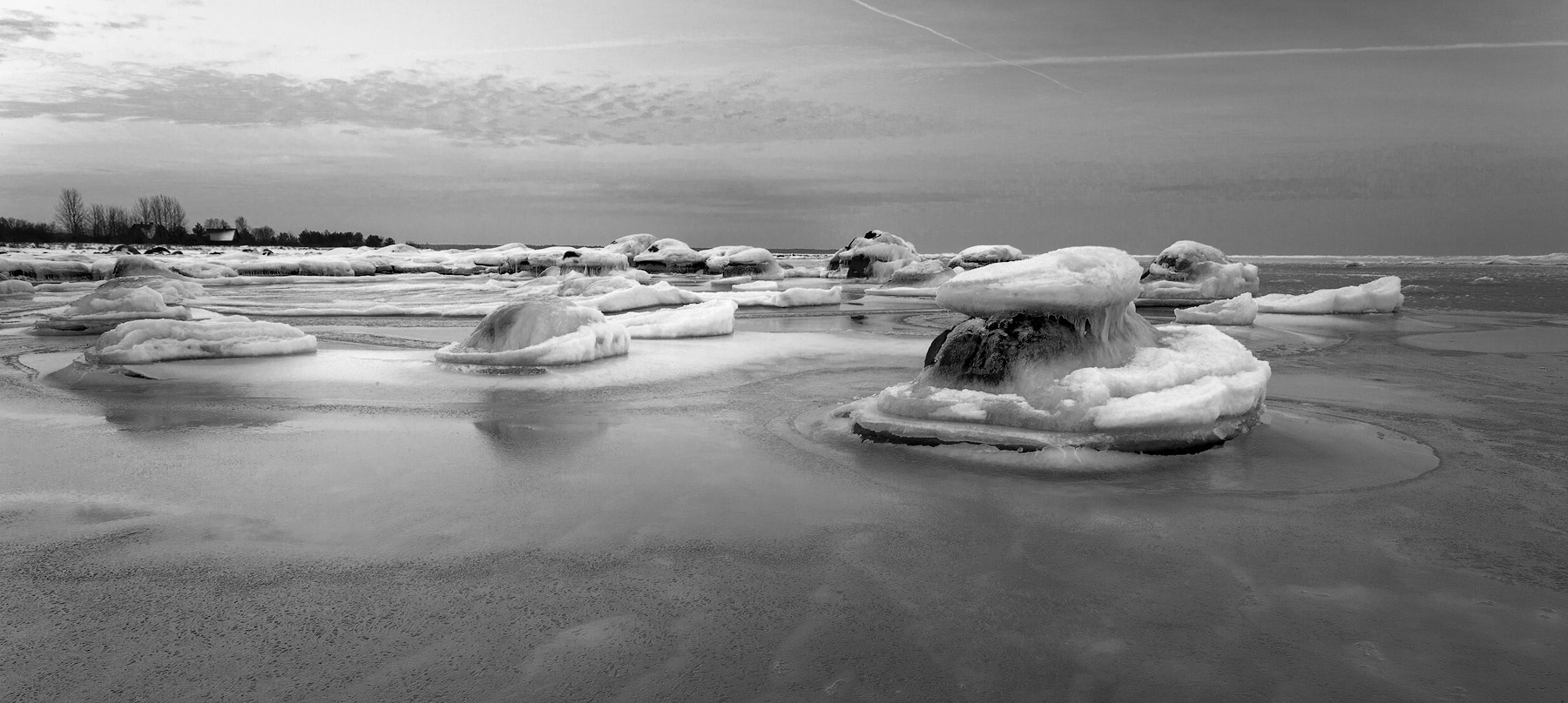 Canon EOS-1Ds Mark II sample photo. B&w photography