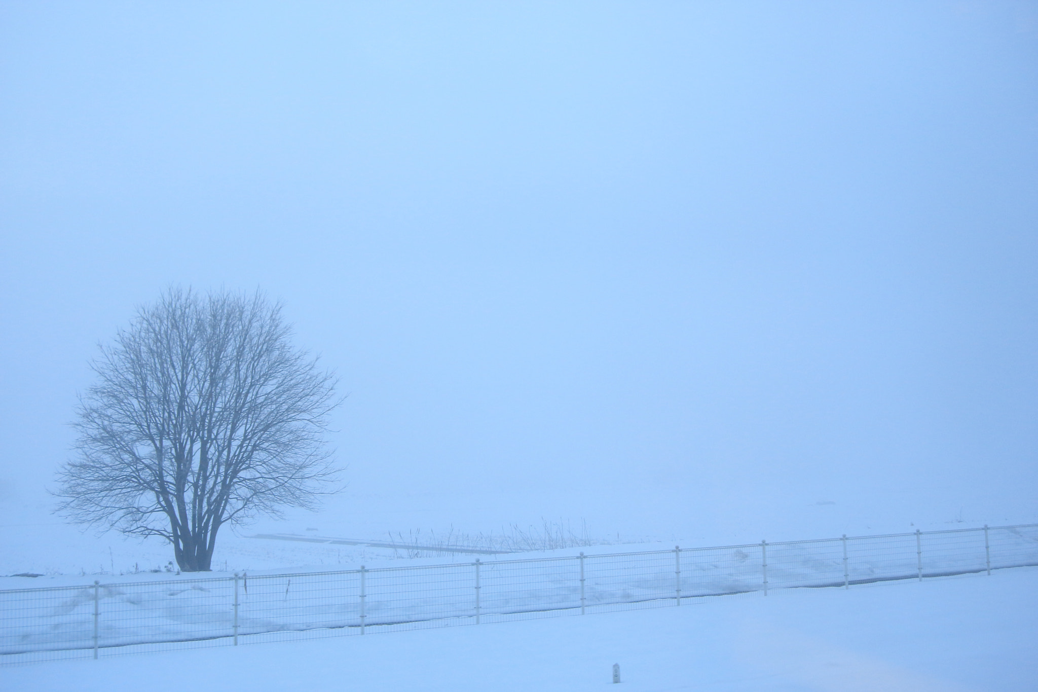 Canon EF 28-80mm f/3.5-5.6 USM sample photo. Misty field photography