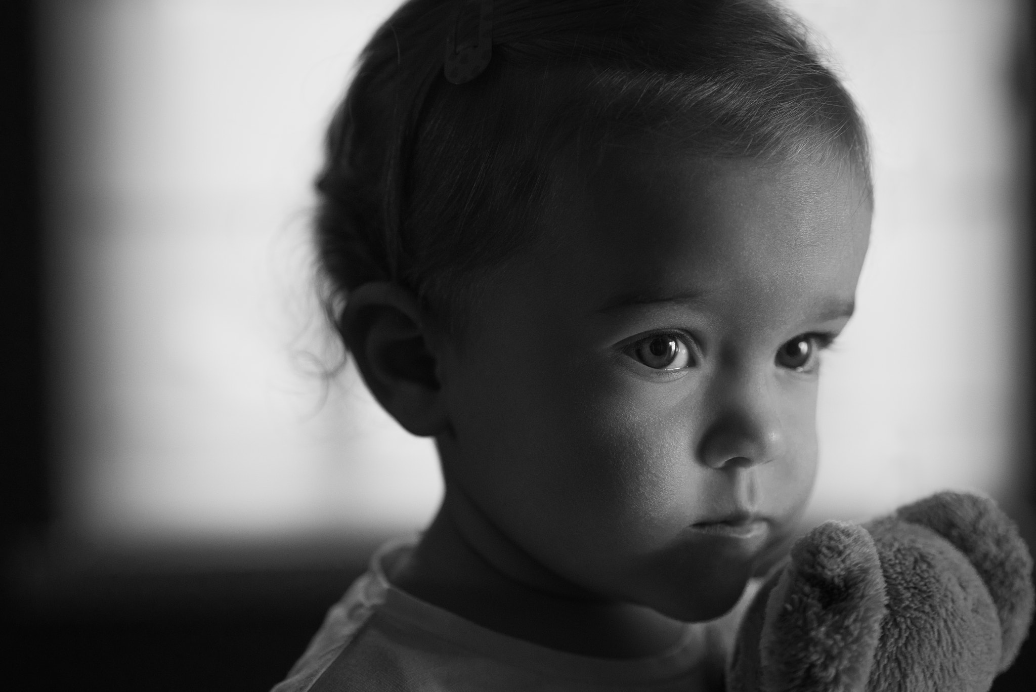 Sony a7S sample photo. Teddy photography