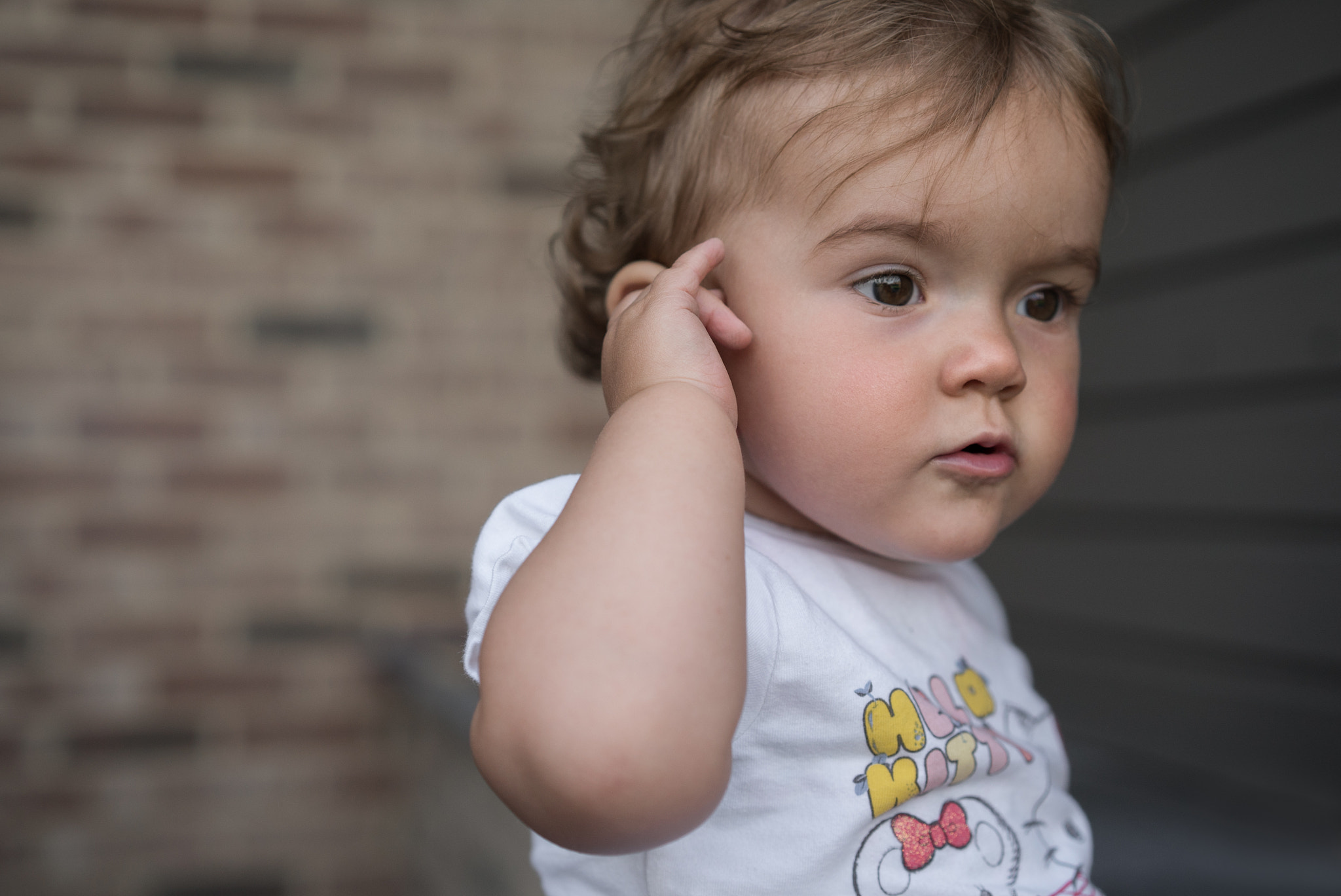 Sony a7S + Sony Sonnar T* FE 55mm F1.8 ZA sample photo