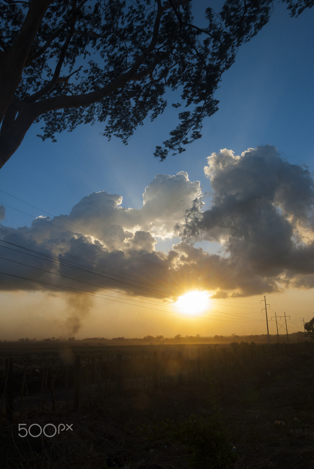 Nikon D200 sample photo. Magical sunset on the pacific coast near sugarcane photography