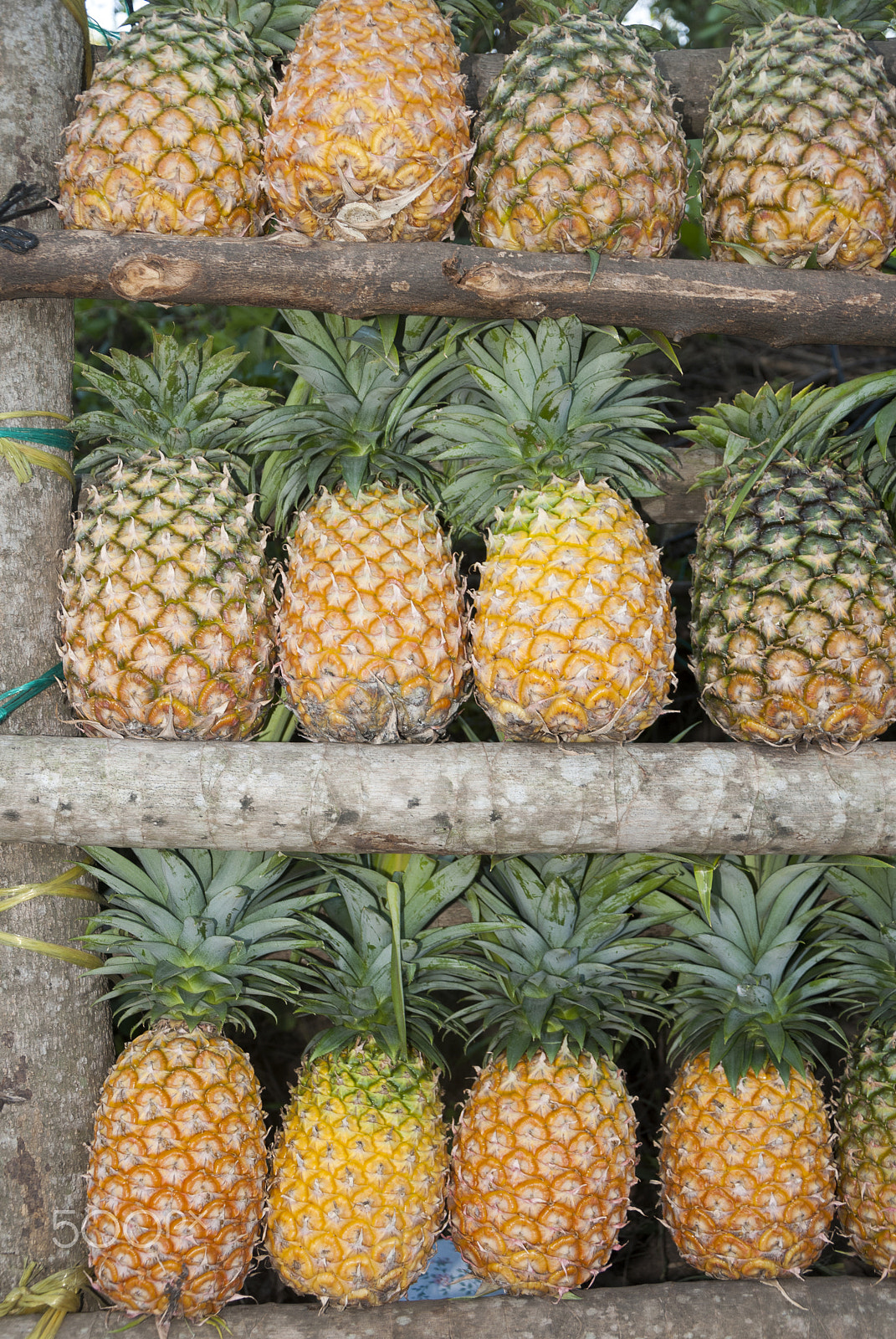 Nikon D200 sample photo. Fresh pineapple for sale in guatemala. photography