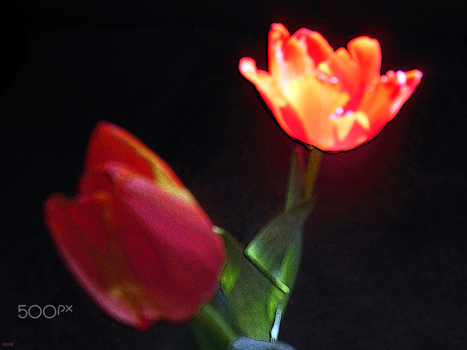 Nikon Coolpix S6300 sample photo. Tulipan photography