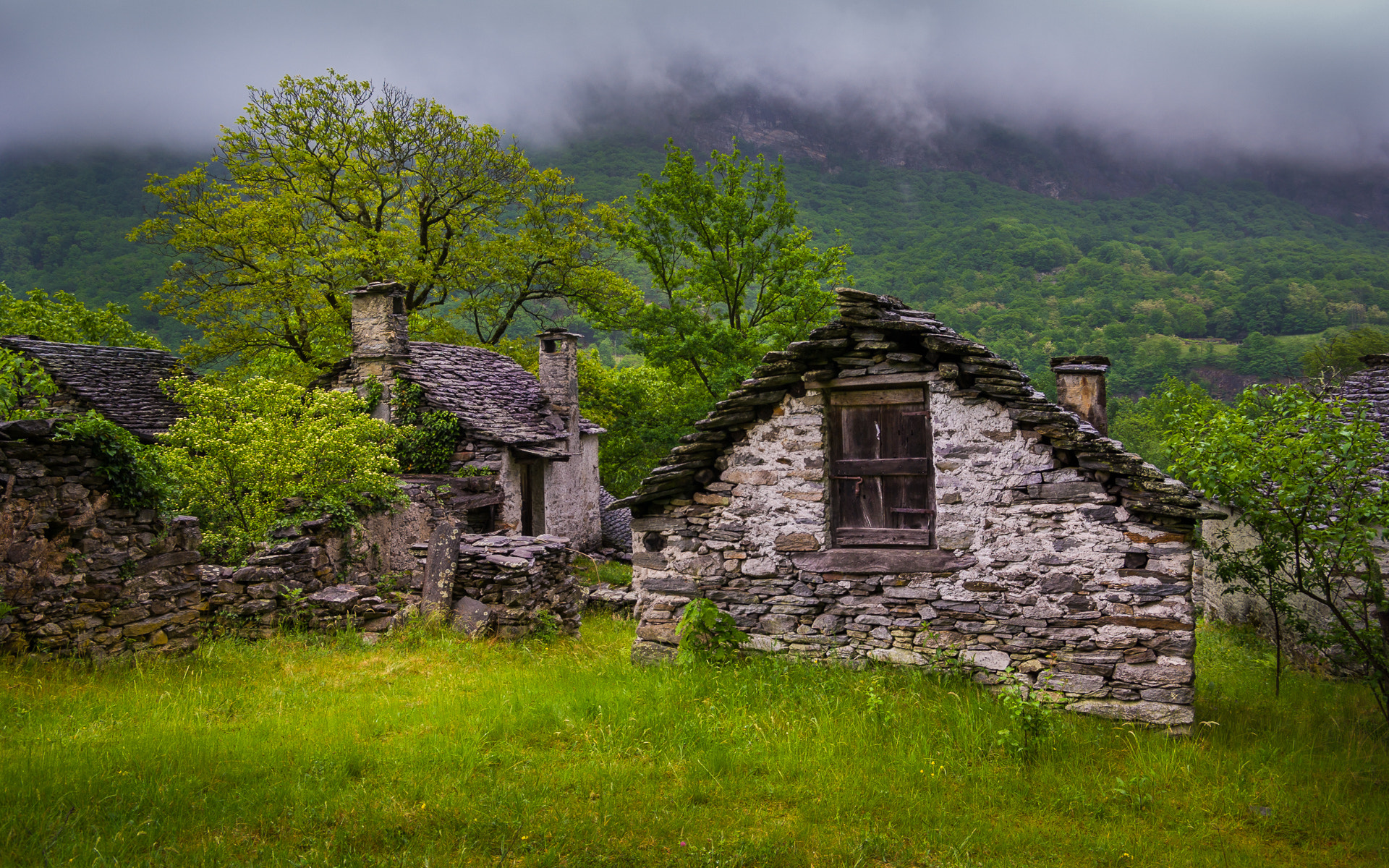 Pentax K10D sample photo. After soring rain in valle maggia photography