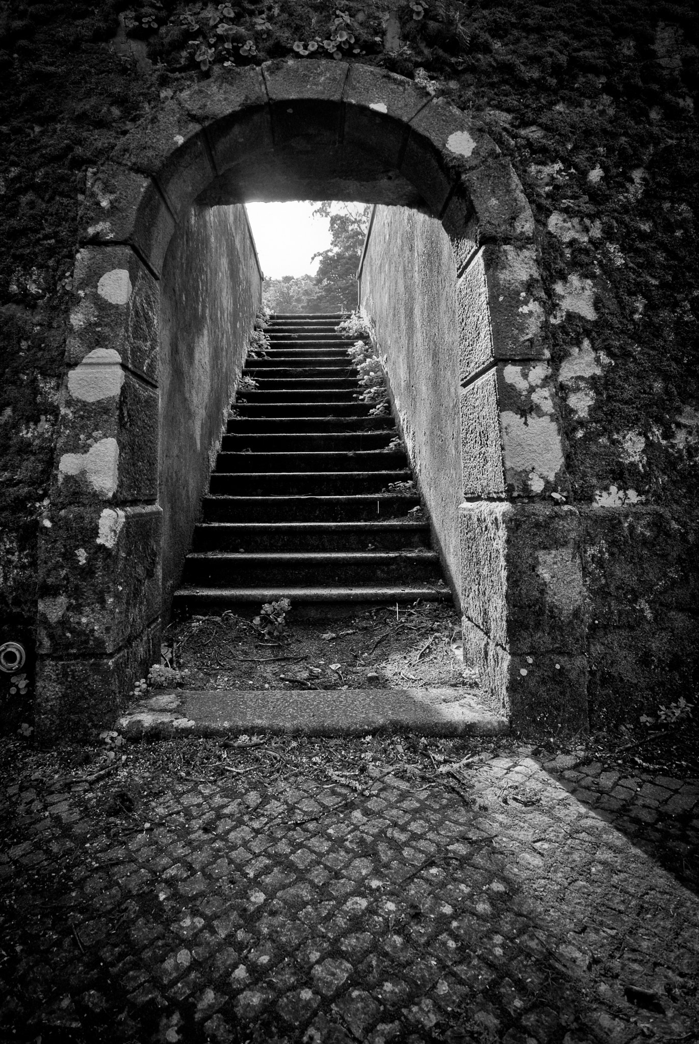 Sigma 10-20mm F4-5.6 EX DC HSM sample photo. Stairway to heaven photography