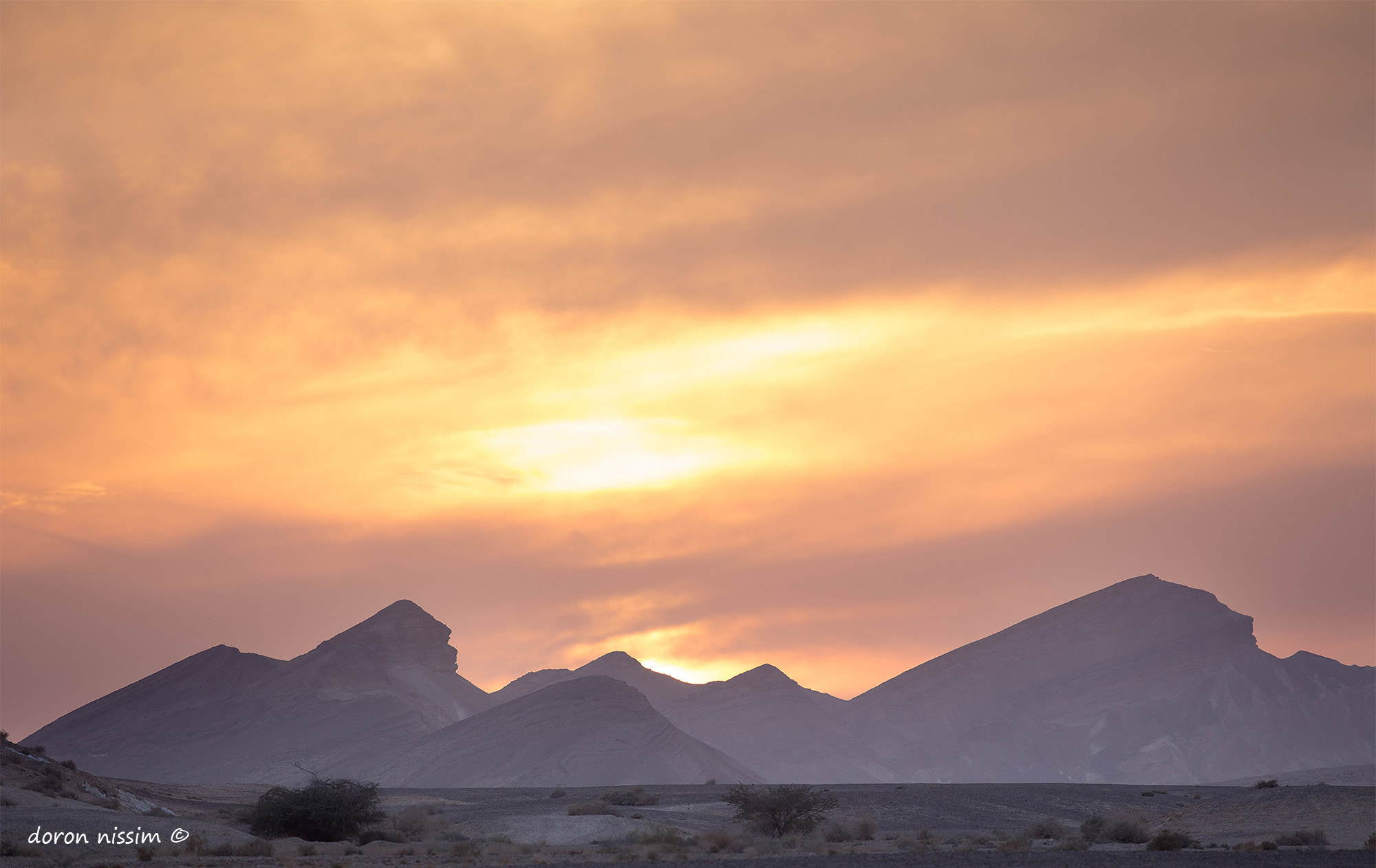 Canon EF 300mm F2.8L IS II USM sample photo. Desert photography