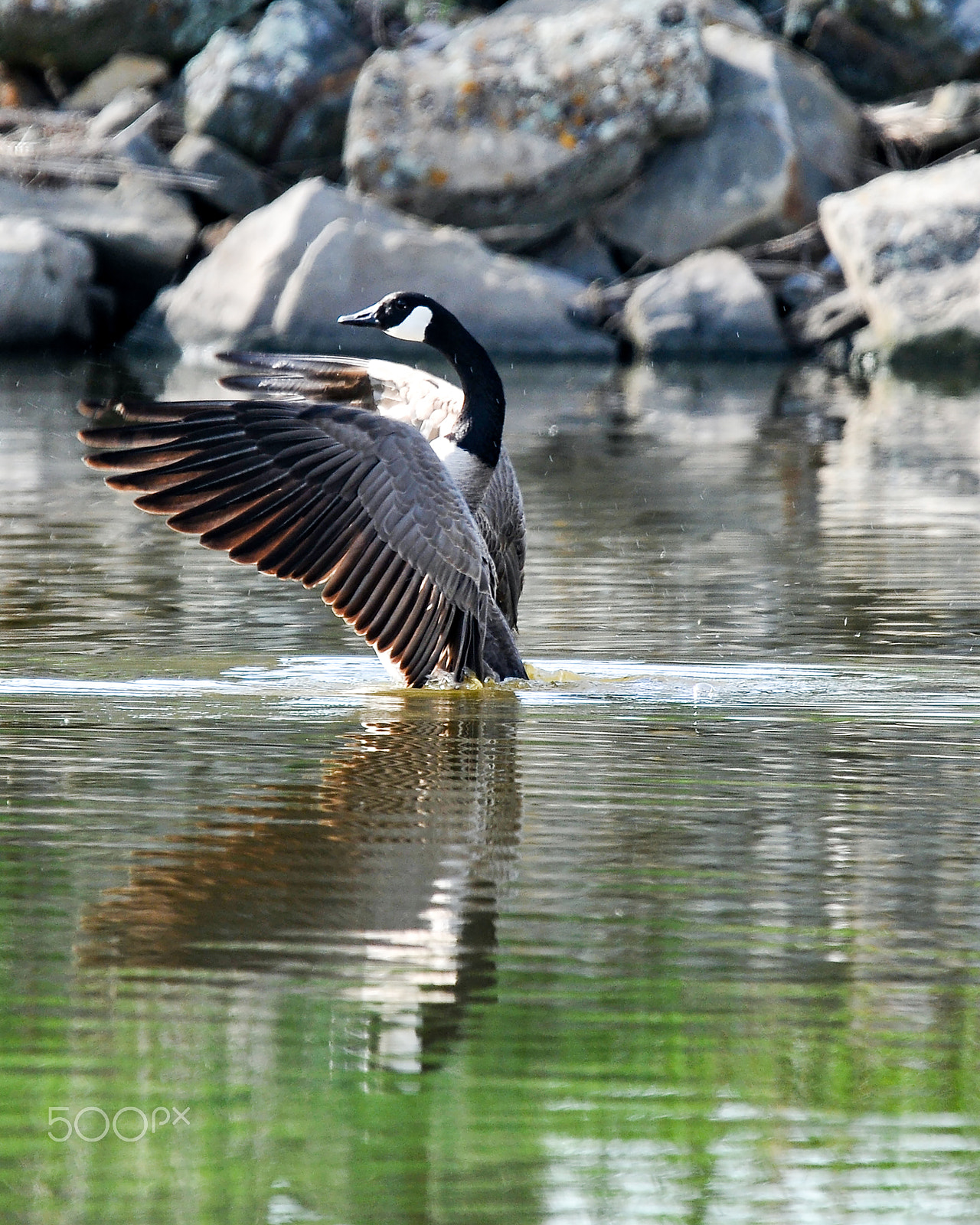 Nikon D300S sample photo. Take off photography
