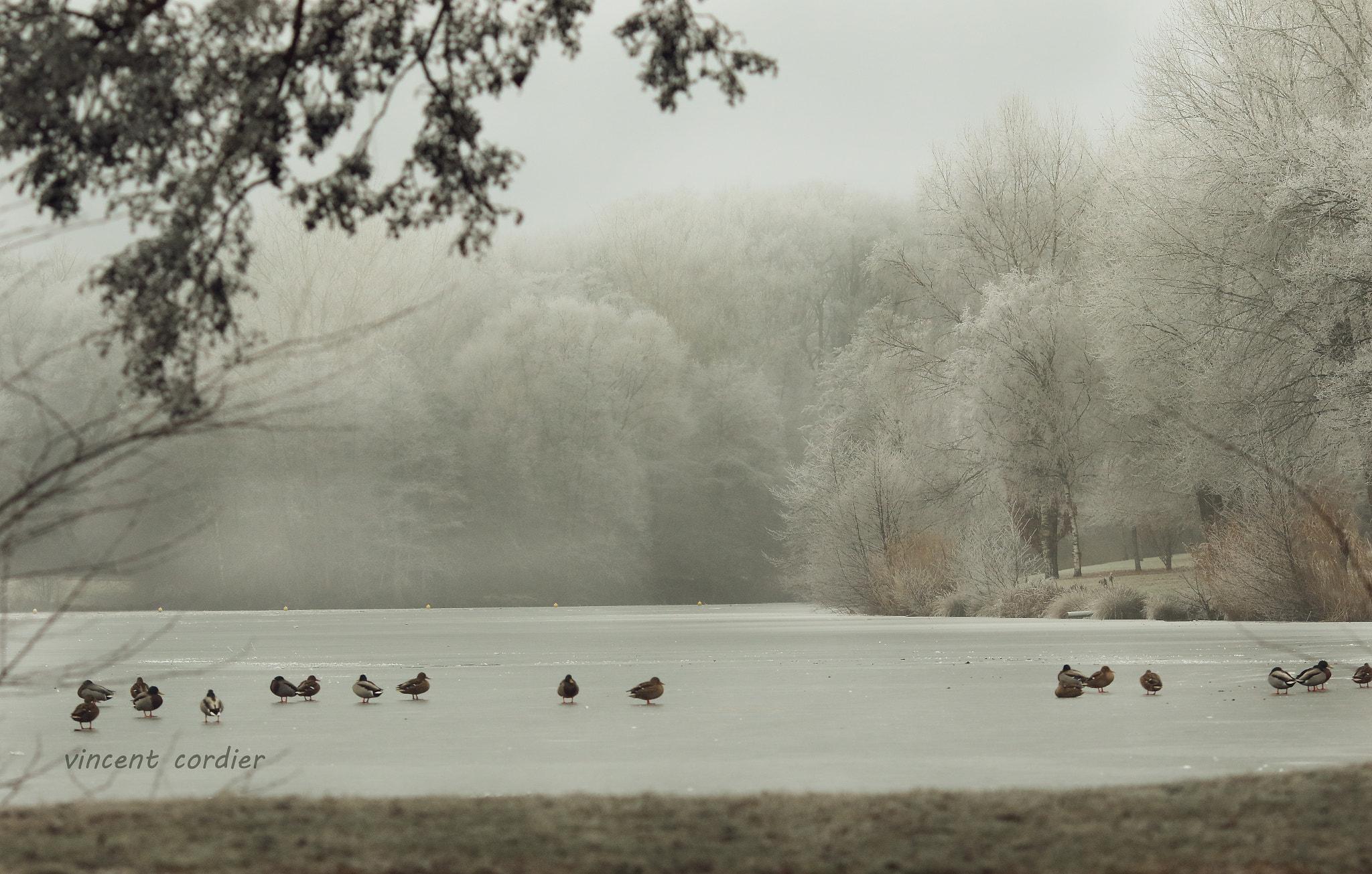 Canon EOS 7D Mark II sample photo. Lac de la folie contrexeville photography