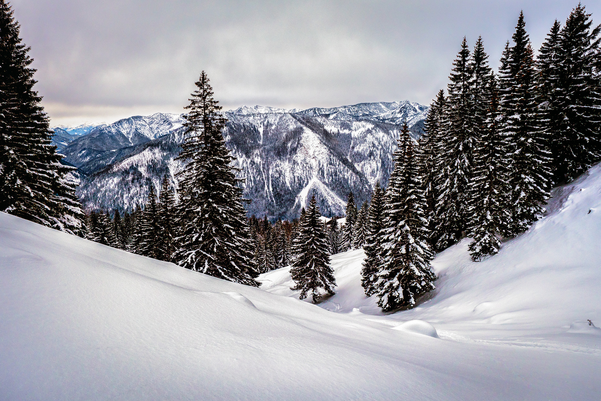 Panasonic Lumix DMC-GX8 sample photo. Schneelandschaft photography