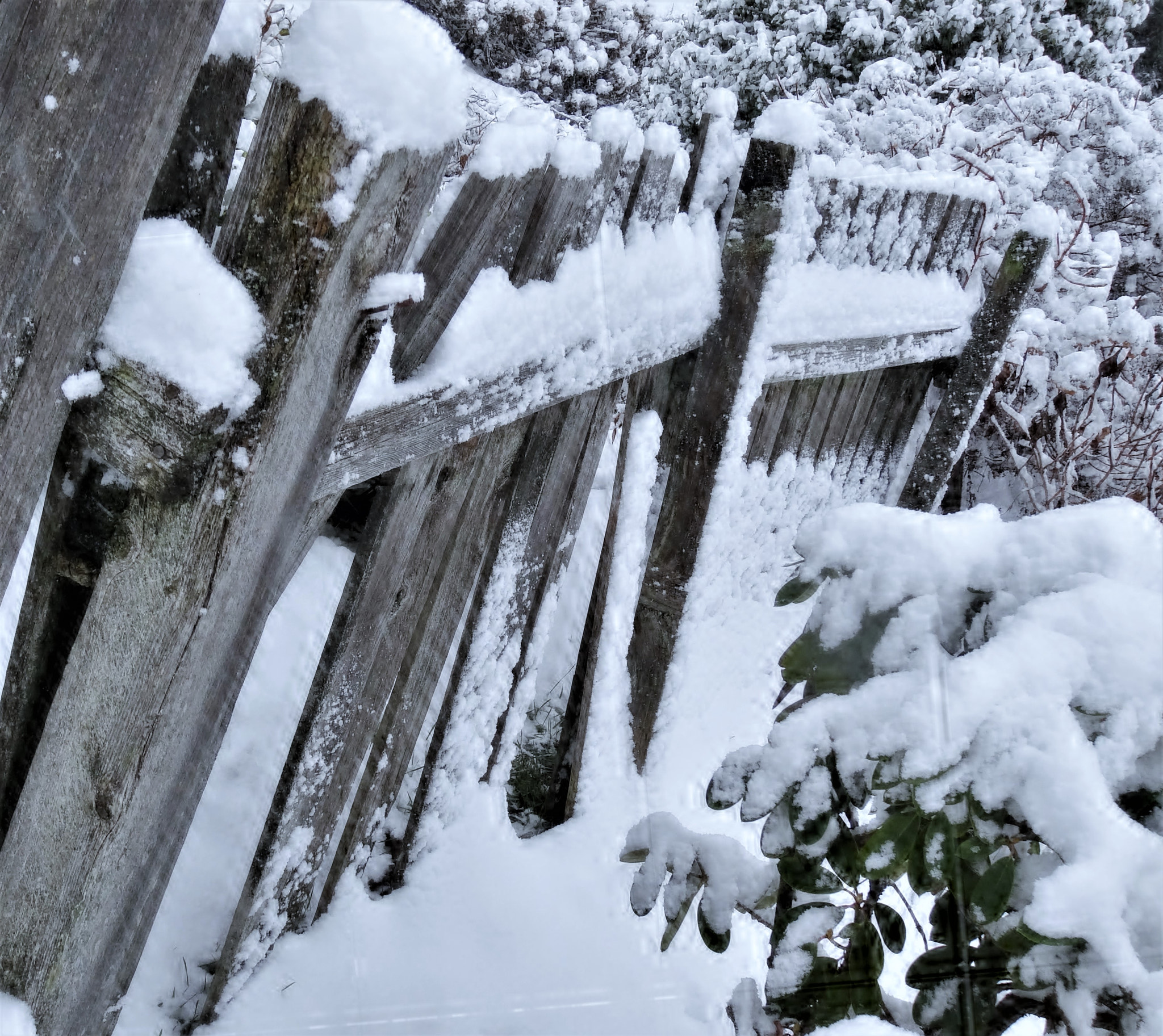 Sony Cyber-shot DSC-HX30V sample photo. Snow on fence photography
