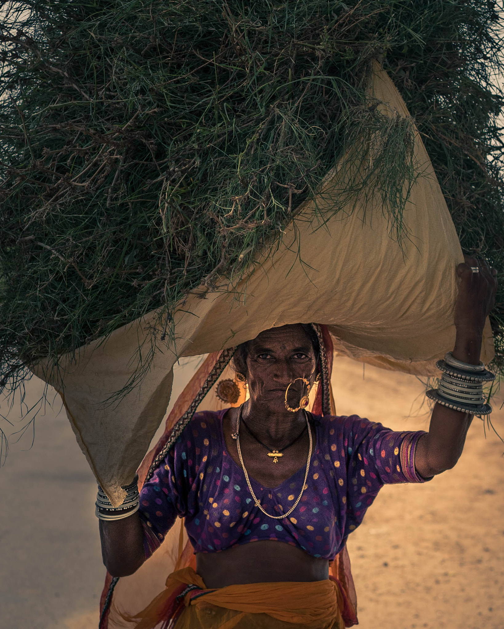 Sony a7S + Sony Sonnar T* FE 55mm F1.8 ZA sample photo. Rajasthan photography