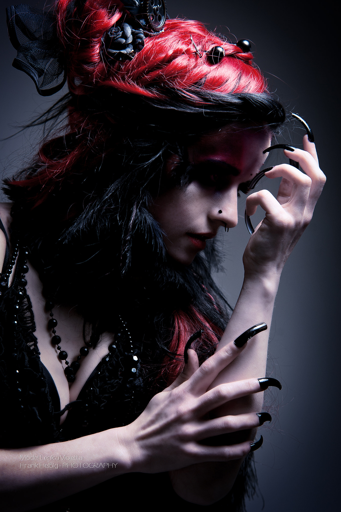 Sigma 70-200mm F2.8 EX DG Macro HSM II sample photo. Beautyfull claws photography