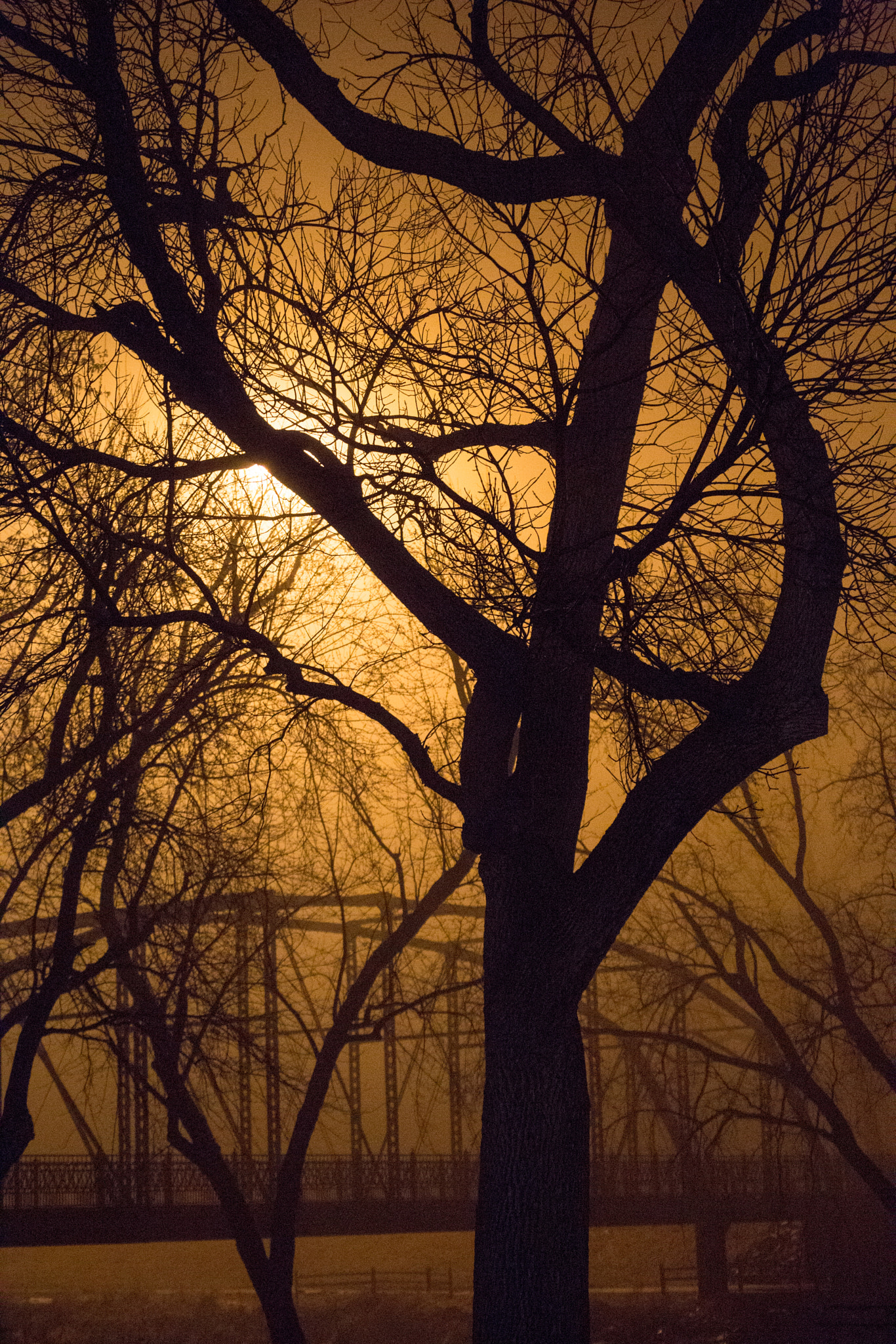 Tamron SP 35mm F1.8 Di VC USD sample photo. Eerie bridge photography