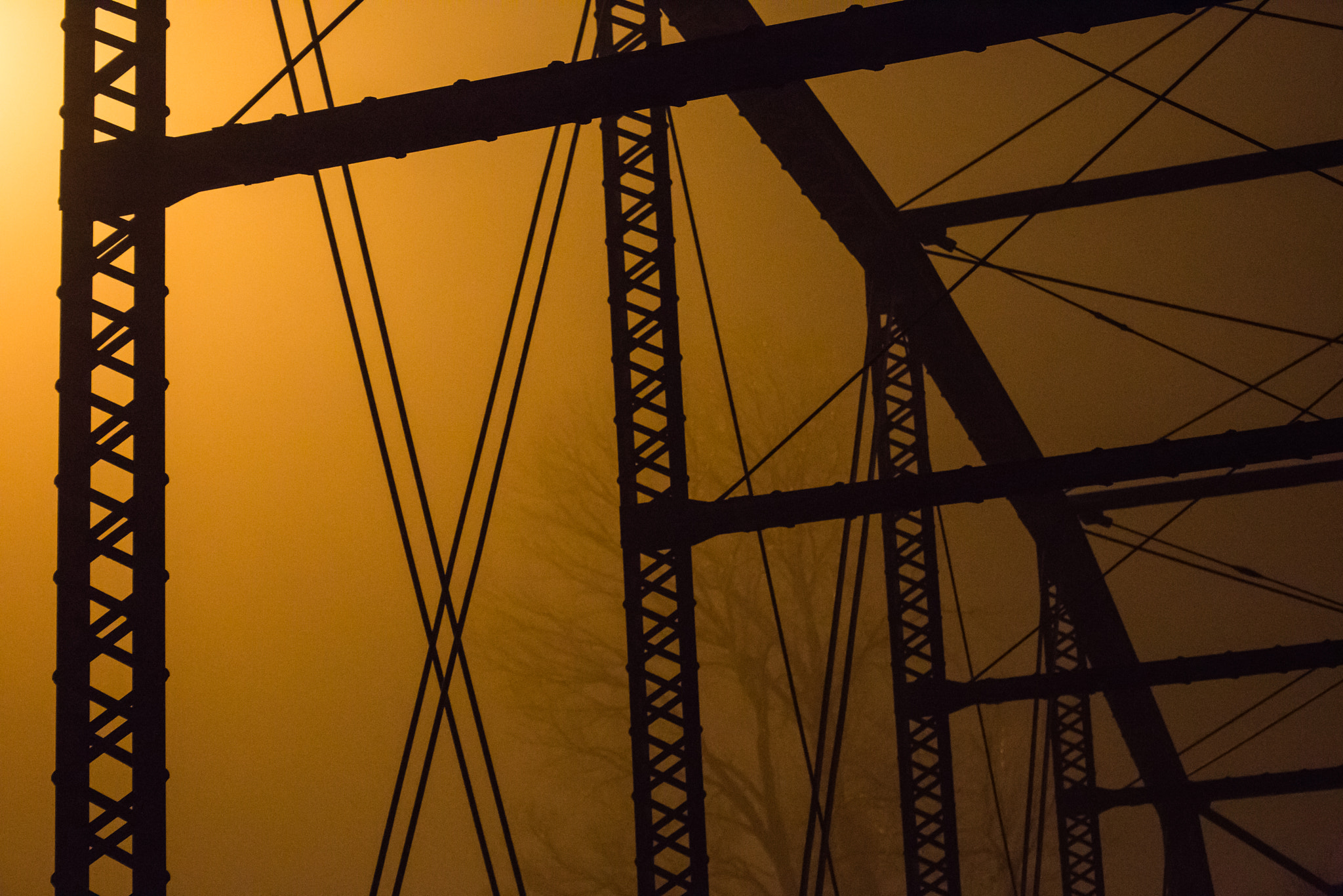 Canon EOS 6D sample photo. Bridge and tree in fog photography