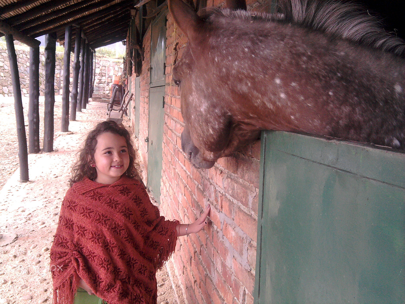 Samsung Galaxy Spica sample photo. Elena and the horse photography