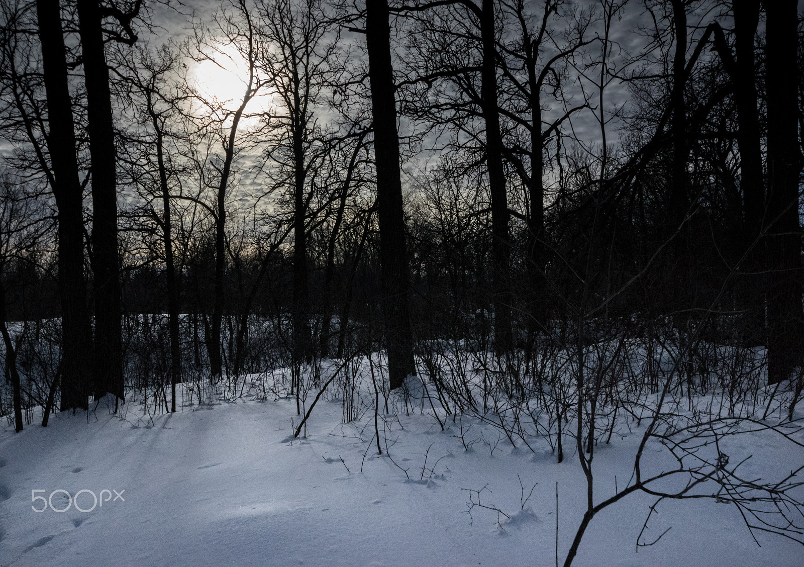 Pentax K-3 II sample photo. Late winter afternoon photography