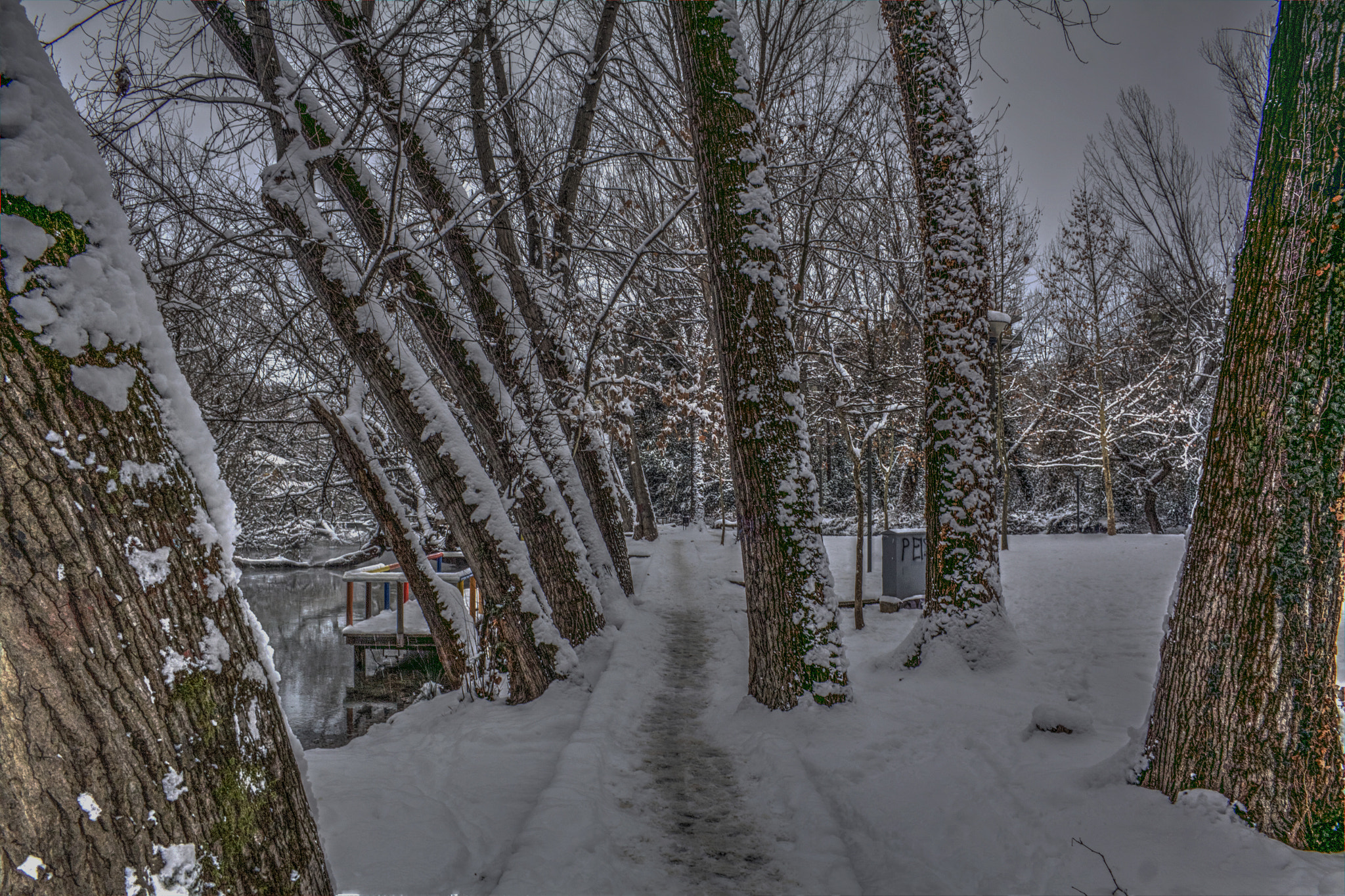 Canon EF-S 18-55mm F3.5-5.6 II sample photo. St. barbara park photography