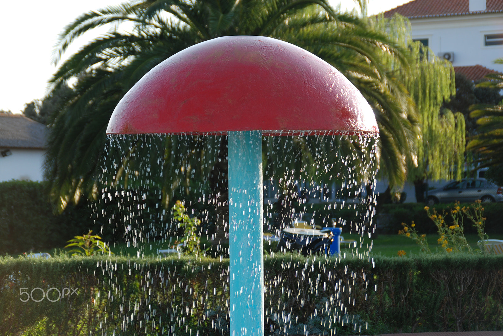 Nikon D80 sample photo. The magic mushroom photography