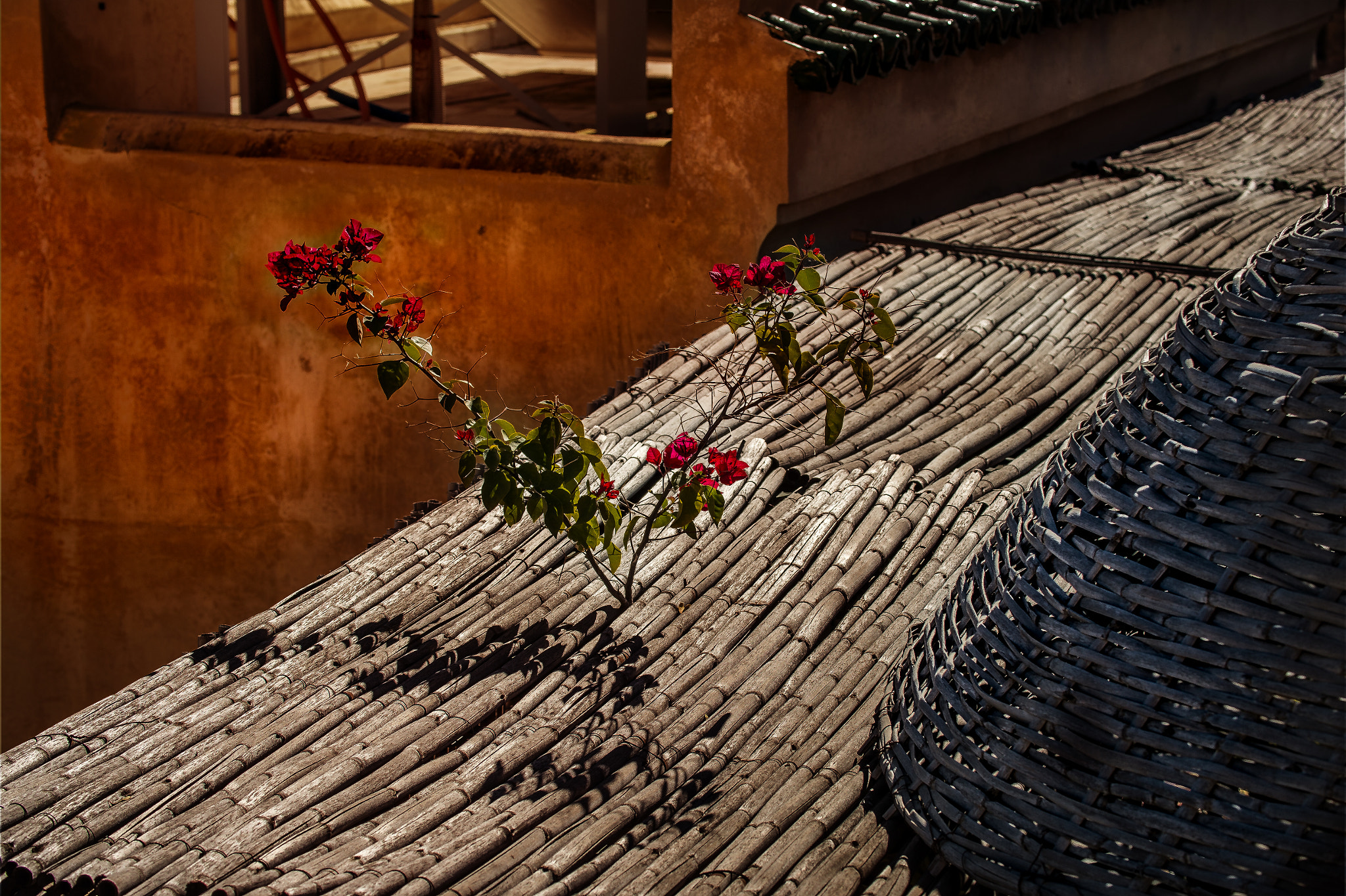 Nikon D4 sample photo. On the rooftop photography