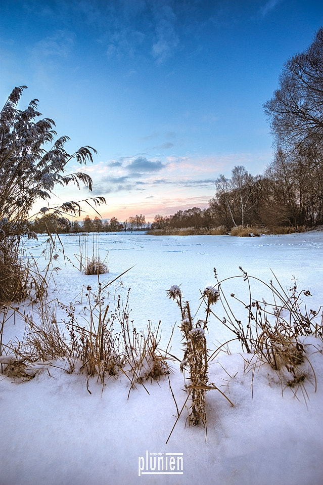 Sony a99 II sample photo. Cold photography