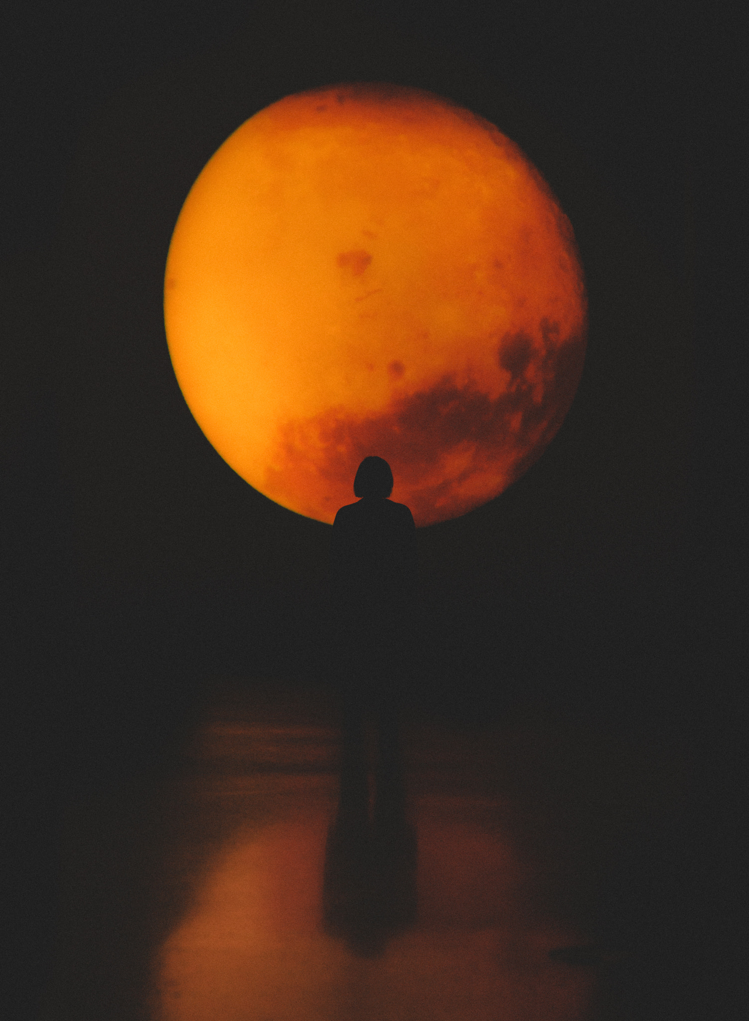 Sony a7S + Sony Sonnar T* FE 55mm F1.8 ZA sample photo. Super moon photography