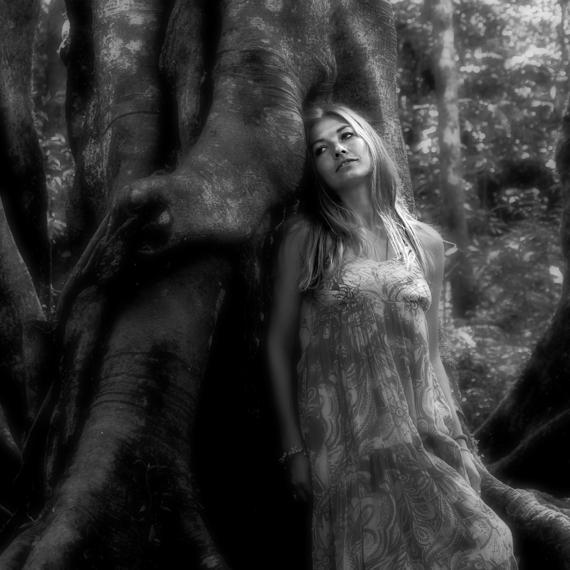 Panasonic Lumix DMC-GH3 sample photo. Tree lover 3 photography