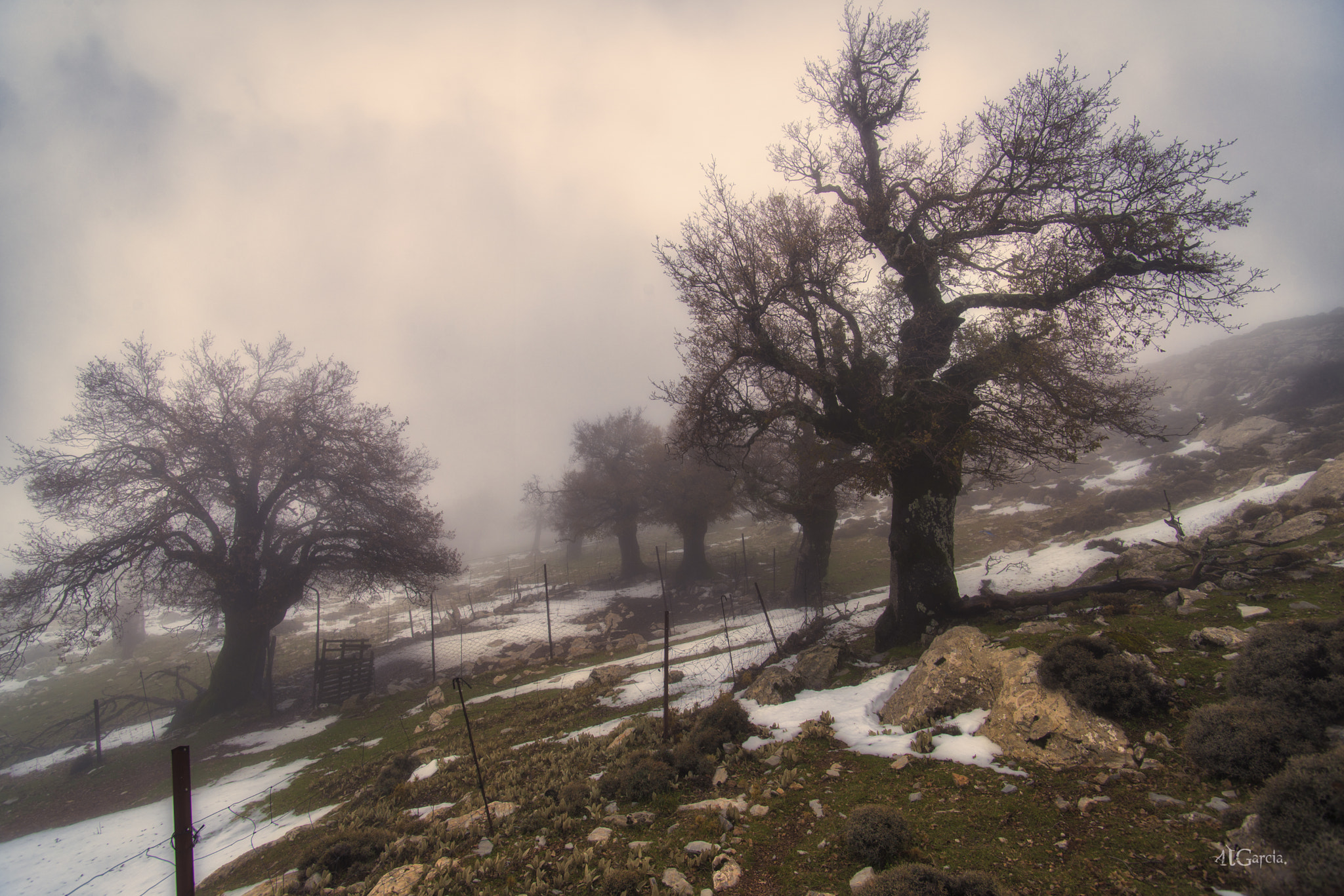 Nikon D600 sample photo. Los quejigales photography