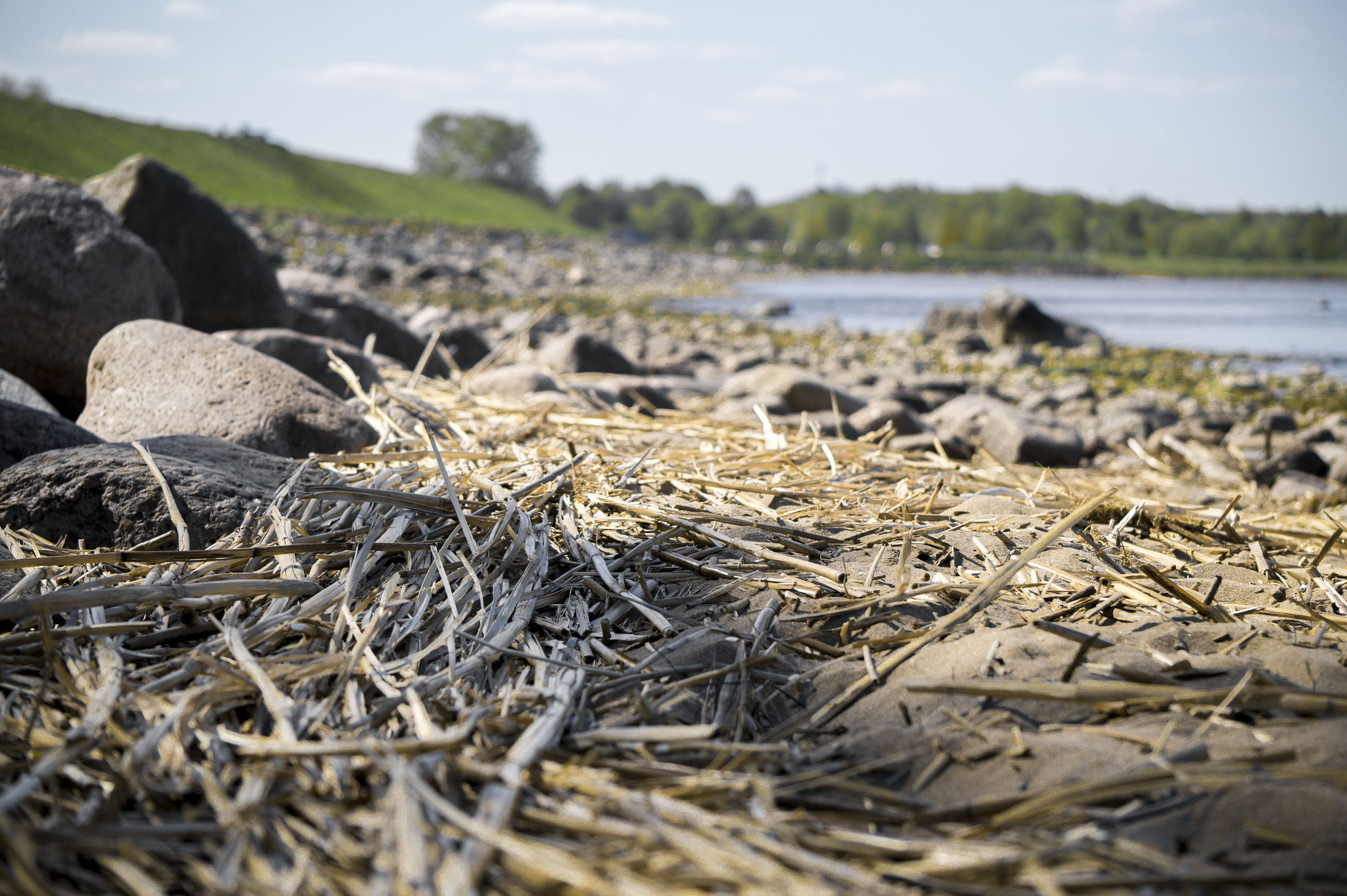 Sony E 55-210mm F4.5-6.3 OSS sample photo. Past battle field photography