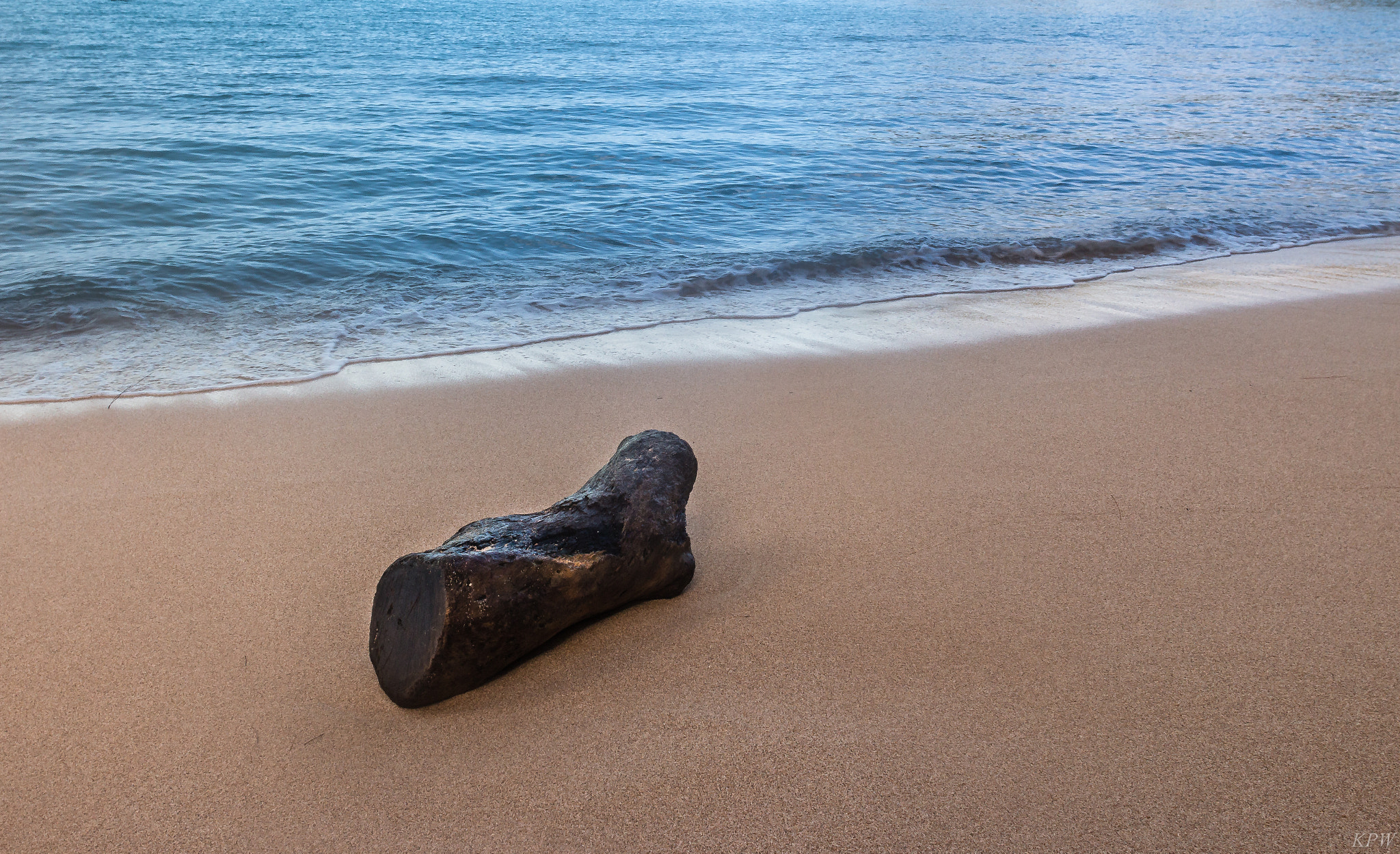 Canon EOS 70D + Canon EF 20mm F2.8 USM sample photo. Log on the beach photography