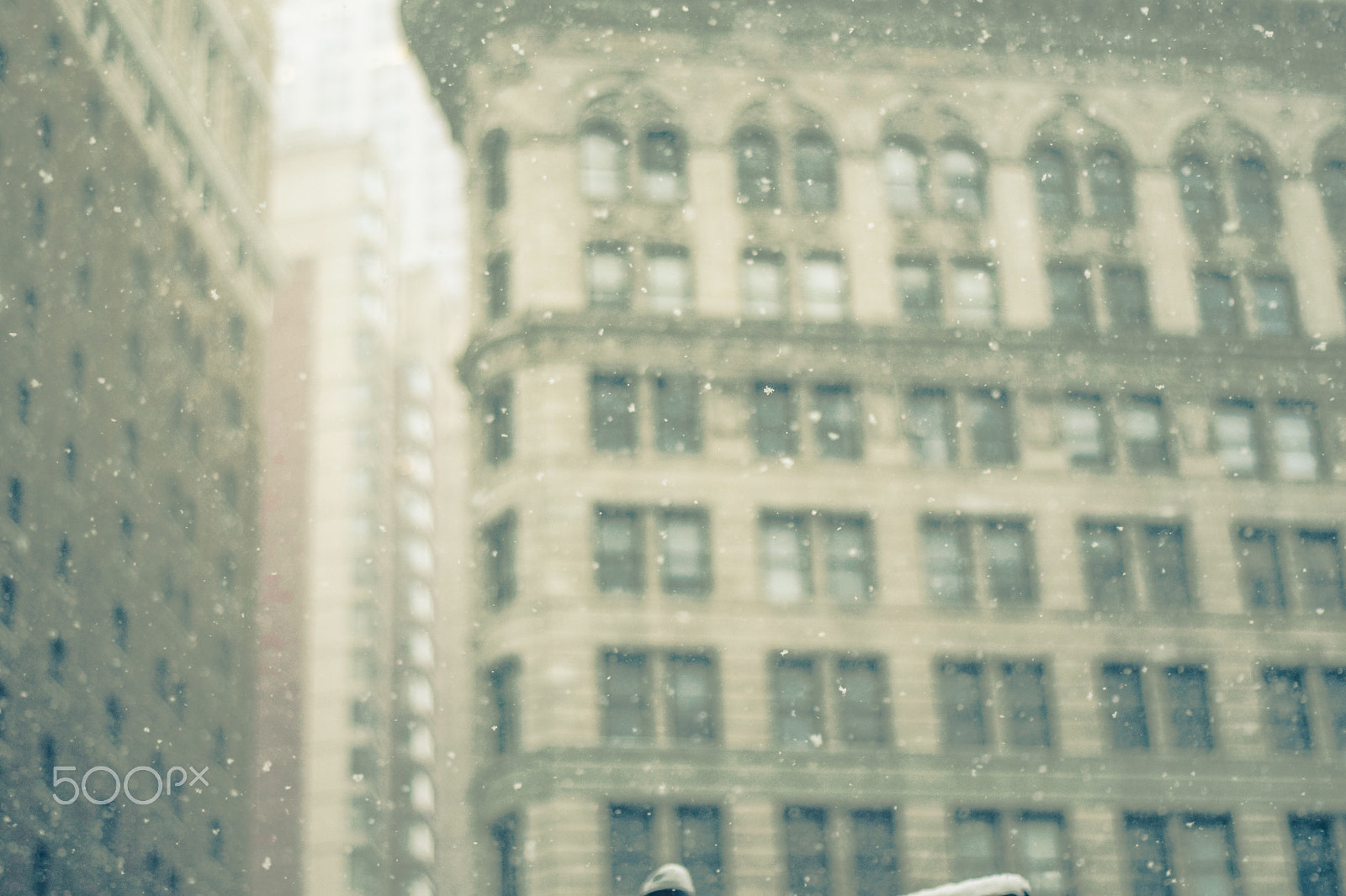 Nikon D5300 + Nikon AF Nikkor 50mm F1.8D sample photo. Showering snow photography