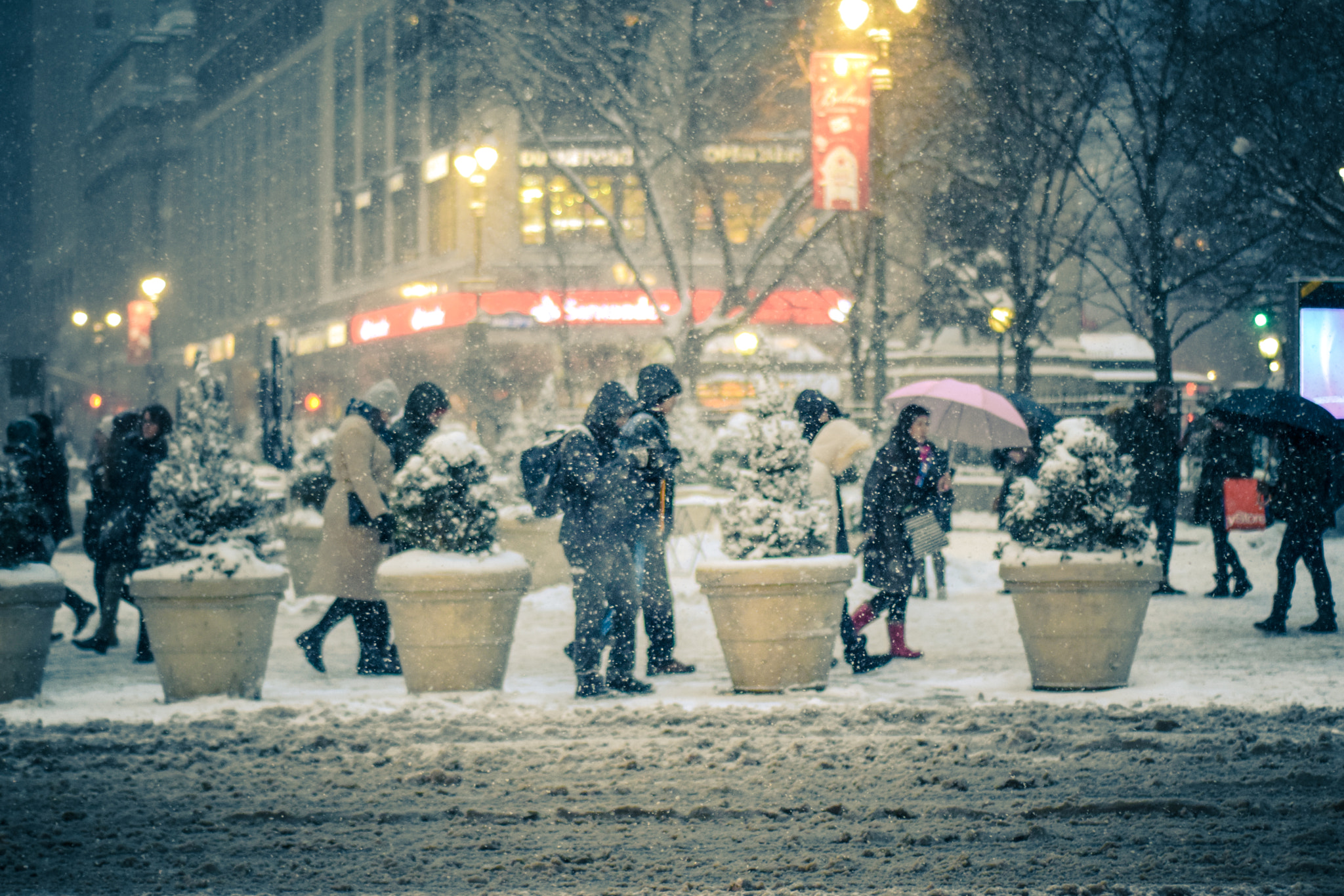 Nikon D5300 + Nikon AF Nikkor 50mm F1.8D sample photo. Showering snow photography