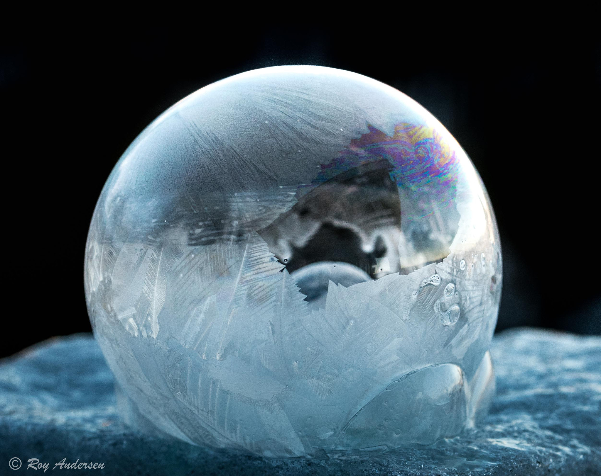 Nikon D750 sample photo. Frozen bubble-5 photography