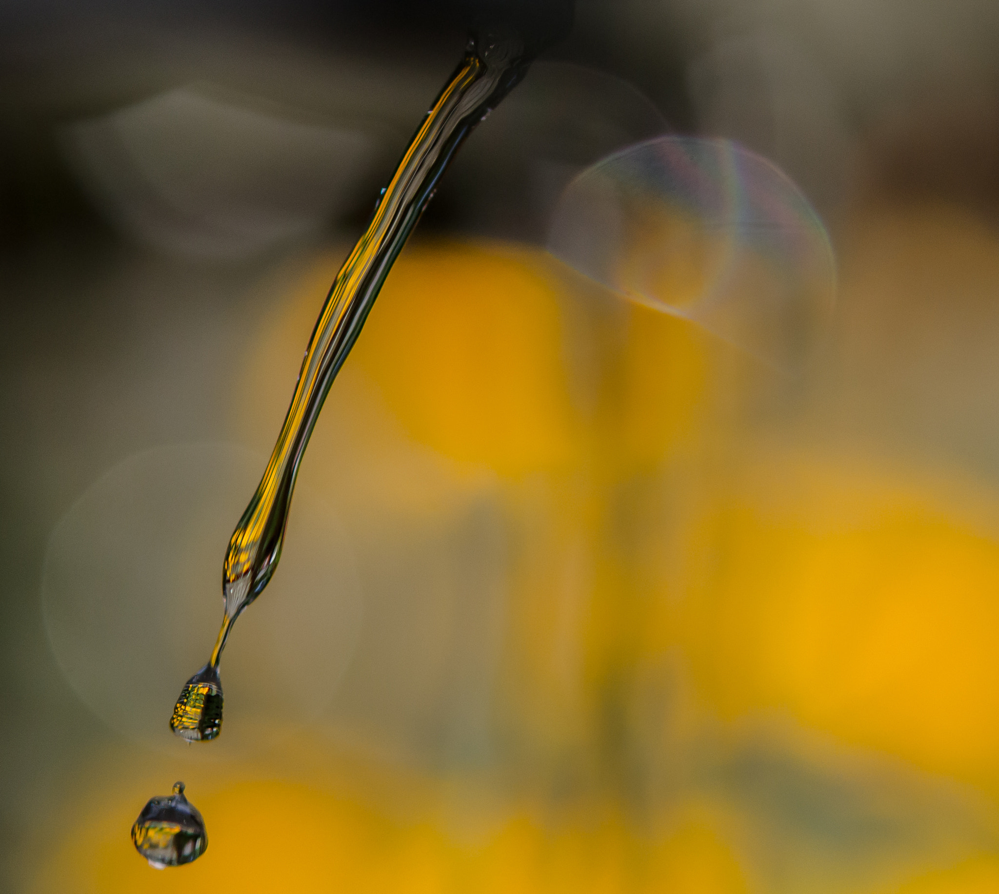 Nikon AF-S Micro-Nikkor 60mm F2.8G ED sample photo. Drip photography