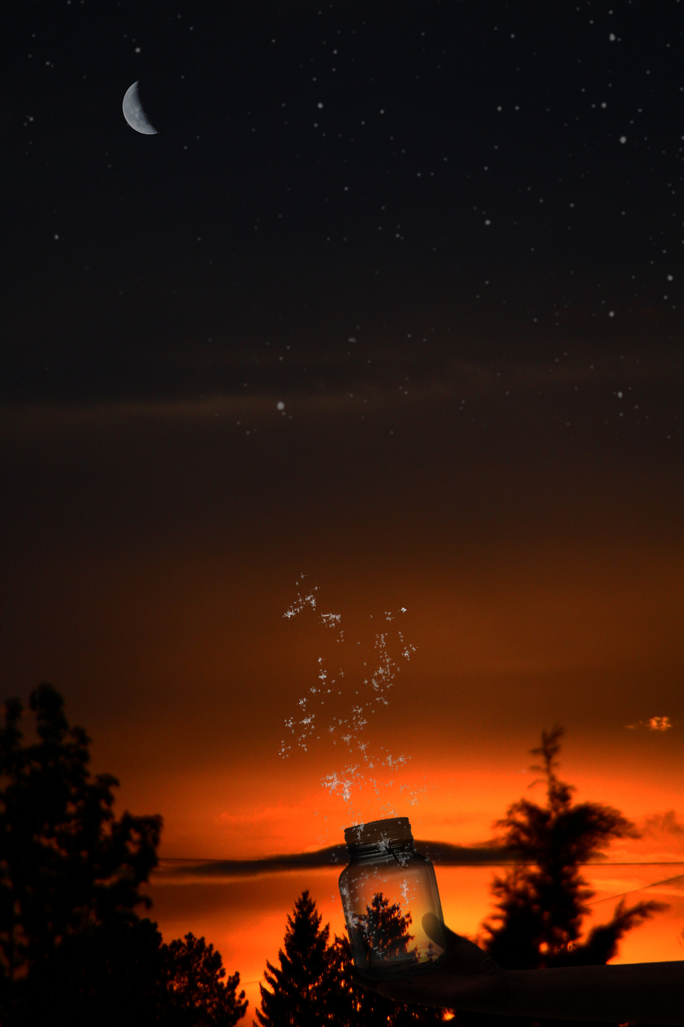 Sigma 18-250mm F3.5-6.3 DC OS HSM sample photo. Magic .. photography