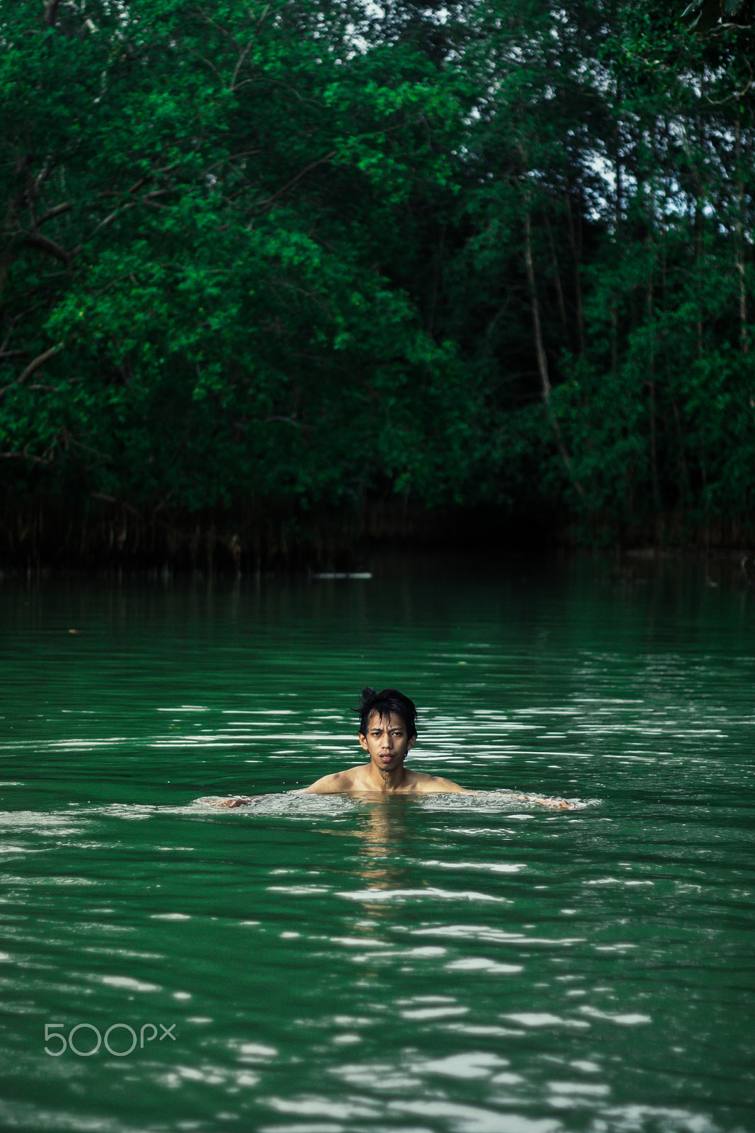 Canon EOS M3 + Canon EF 50mm F1.8 II sample photo. Mystical swamp photography