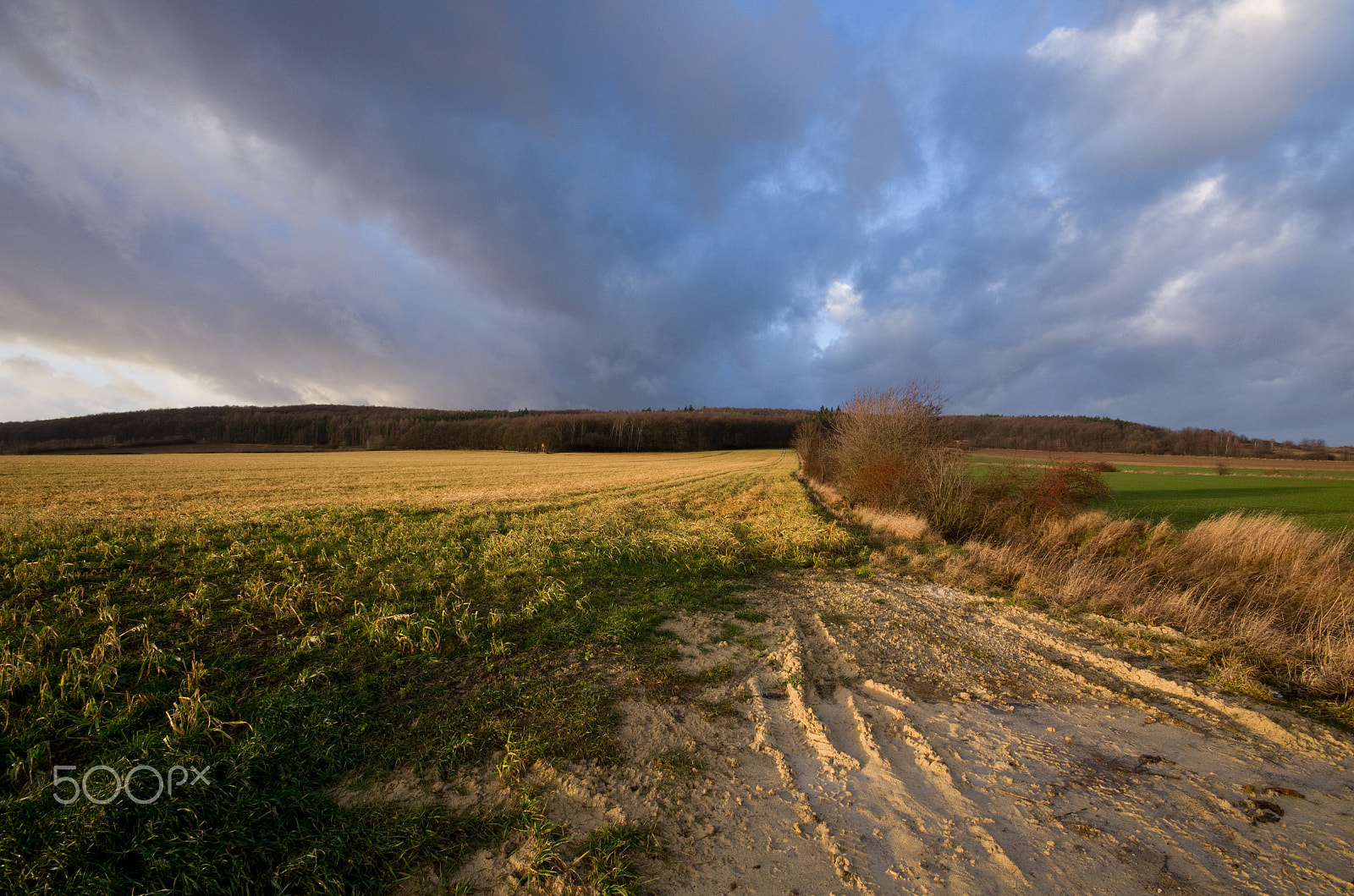 Sigma AF 10-20mm F4-5.6 EX DC sample photo. Cloudy moment photography