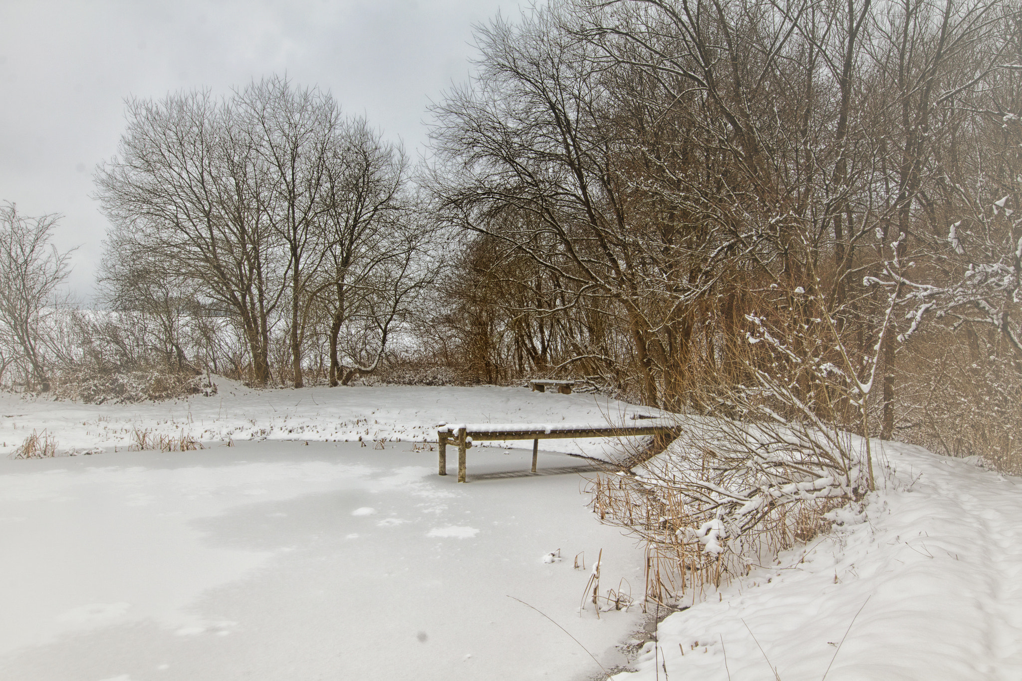 Canon EOS 60D sample photo. Creule photography