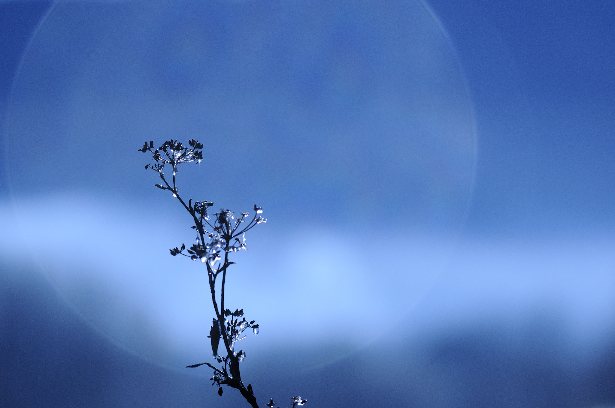 Nikon D300S sample photo. Blue sunrise photography